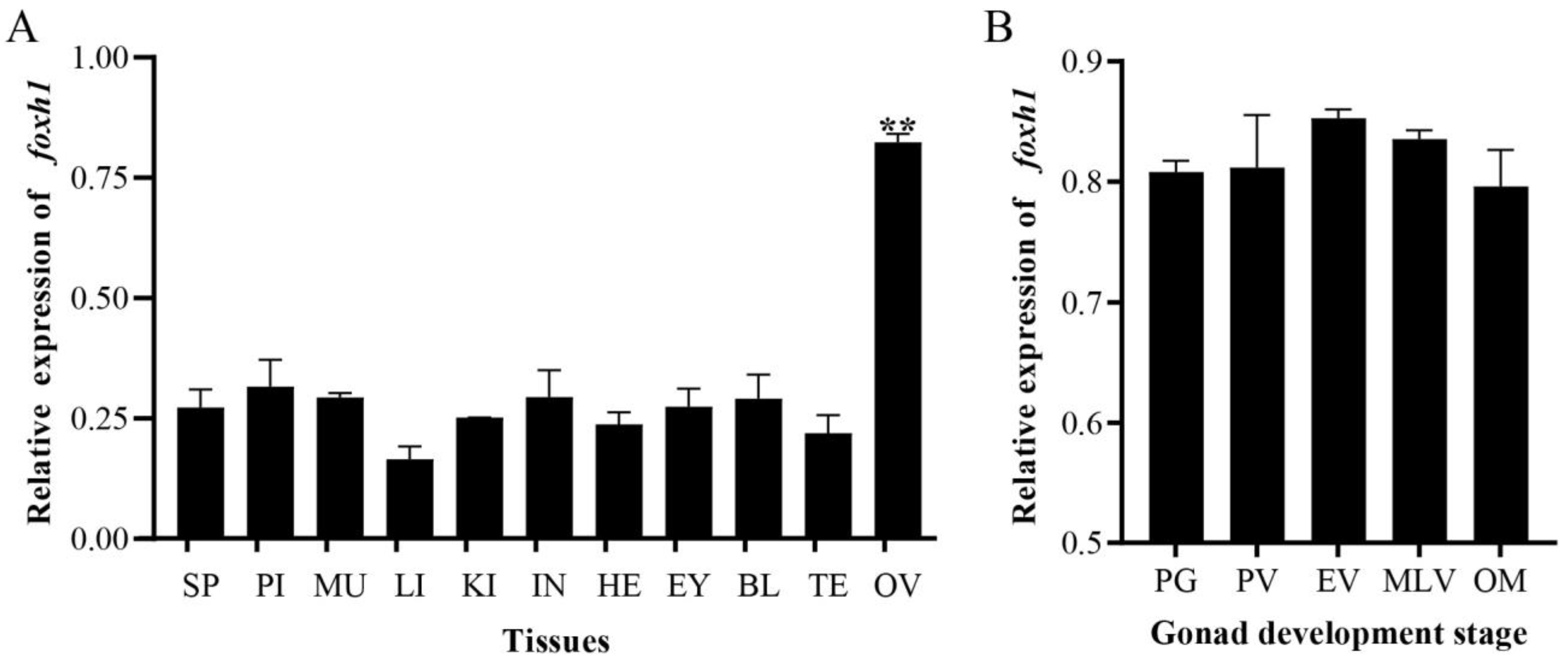 Ijms 24 13712 g003 Ijms 24 13712 g003