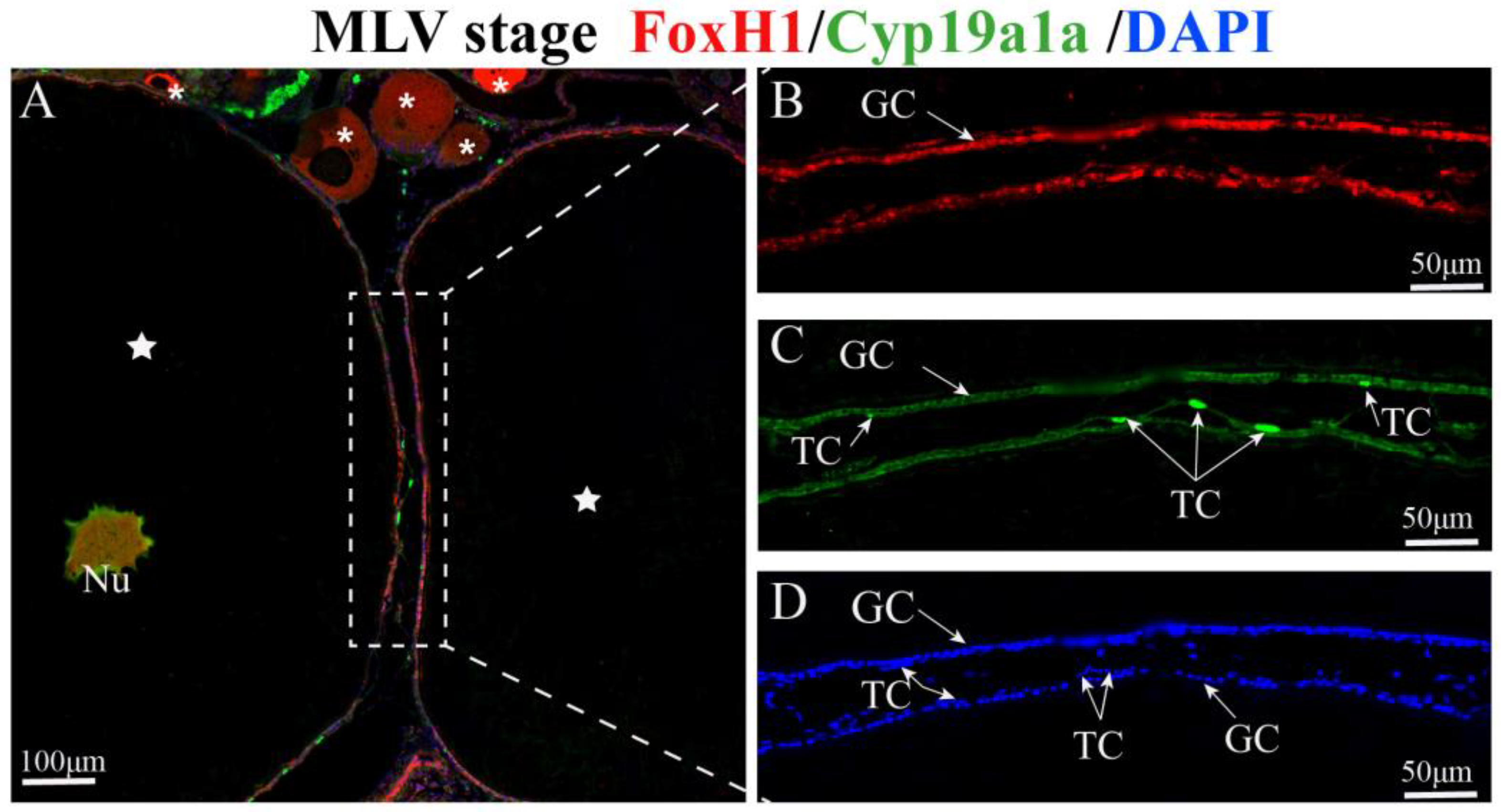 Ijms 24 13712 g006 Ijms 24 13712 g006
