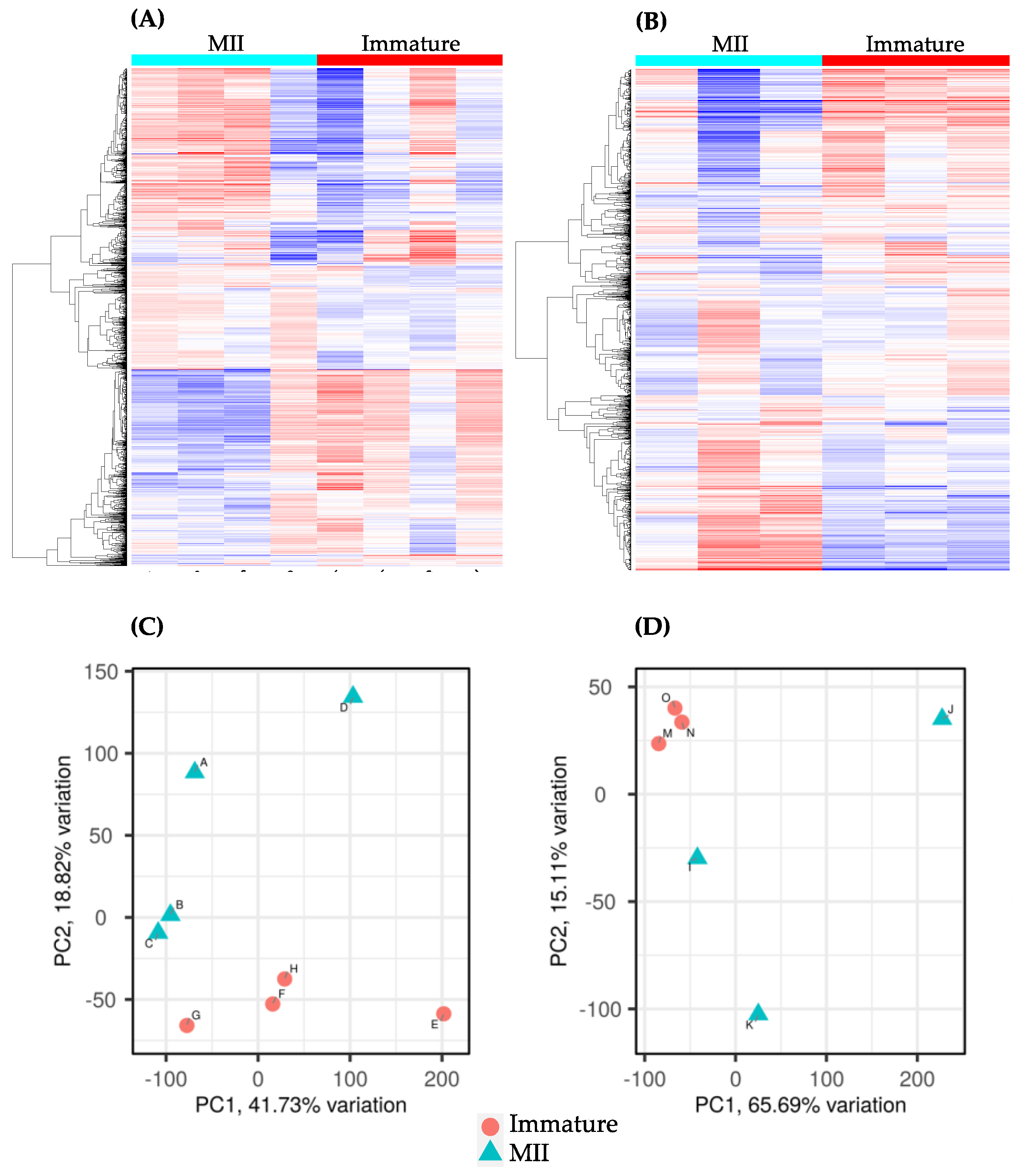 IJMS | Free Full-Text | Transcriptome Signature of Immature and In