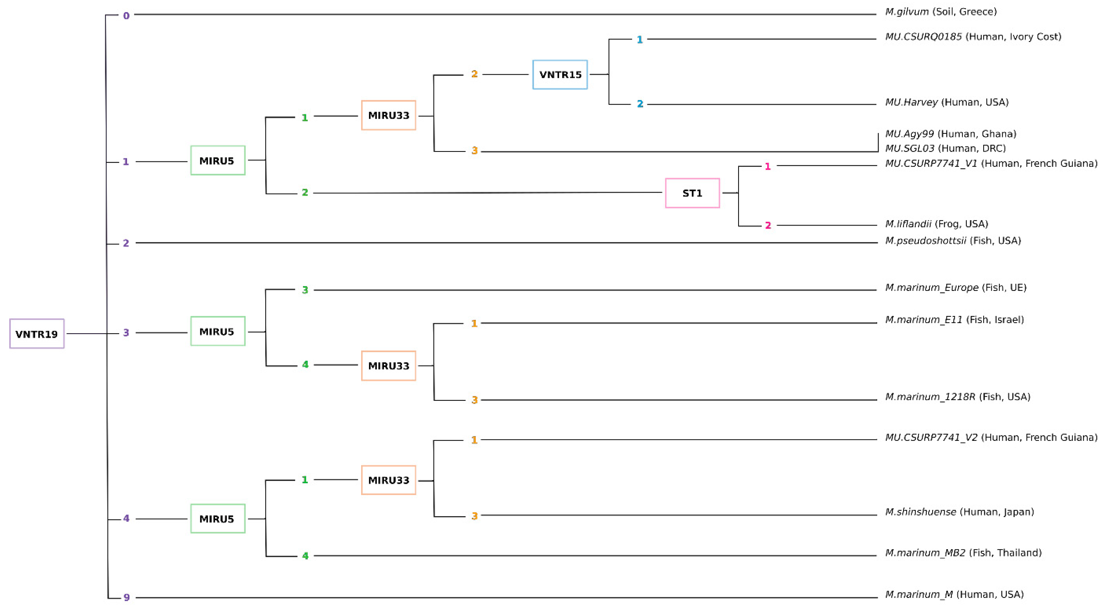 Ijms 24 13727 g002 Ijms 24 13727 g002