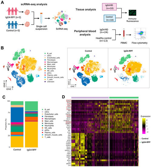 Ijms Free Full Text Single Cell Rna Sequencing Reveals Peripheral T