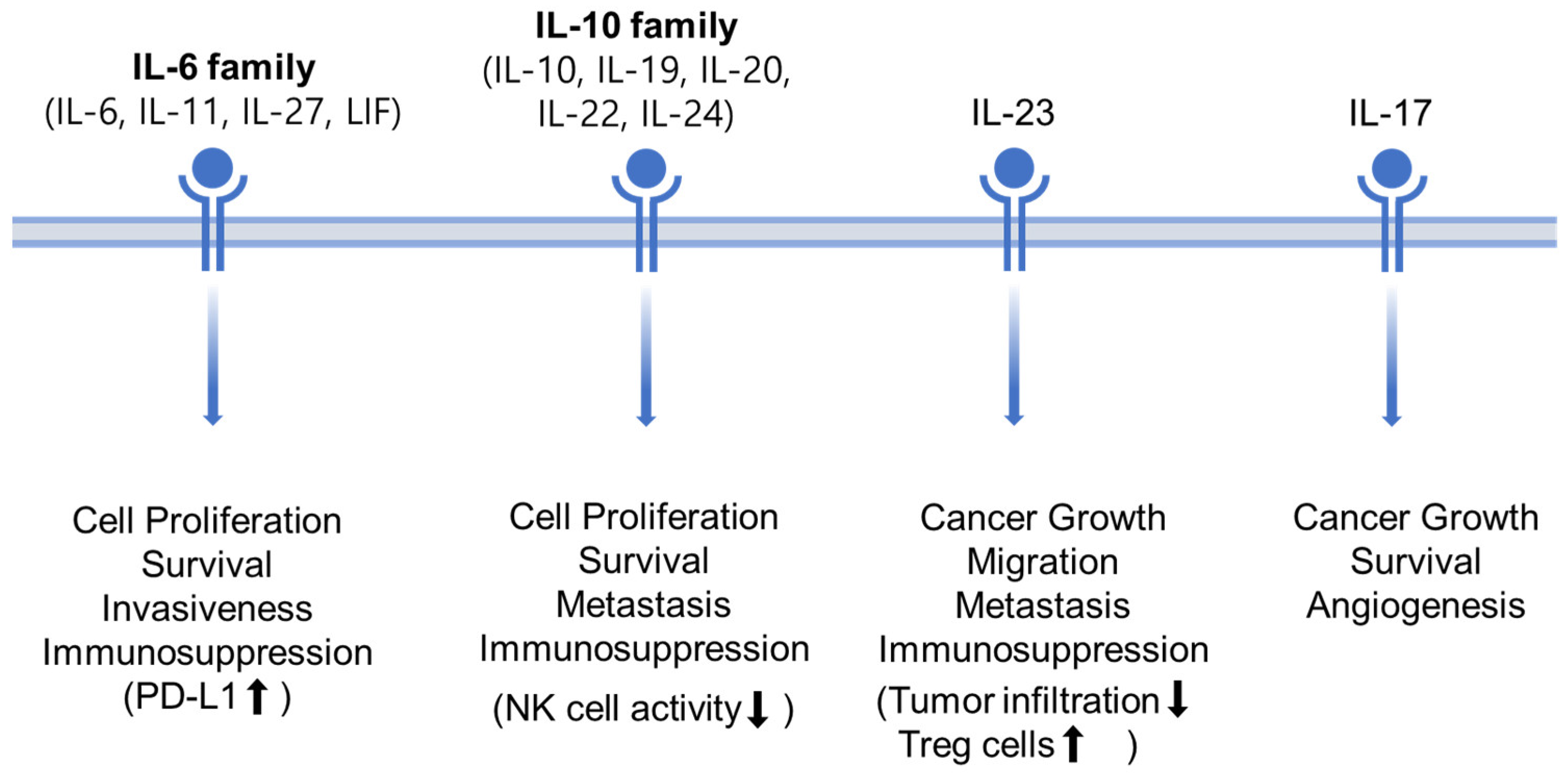 Ijms 24 13764 g004 Ijms 24 13764 g004
