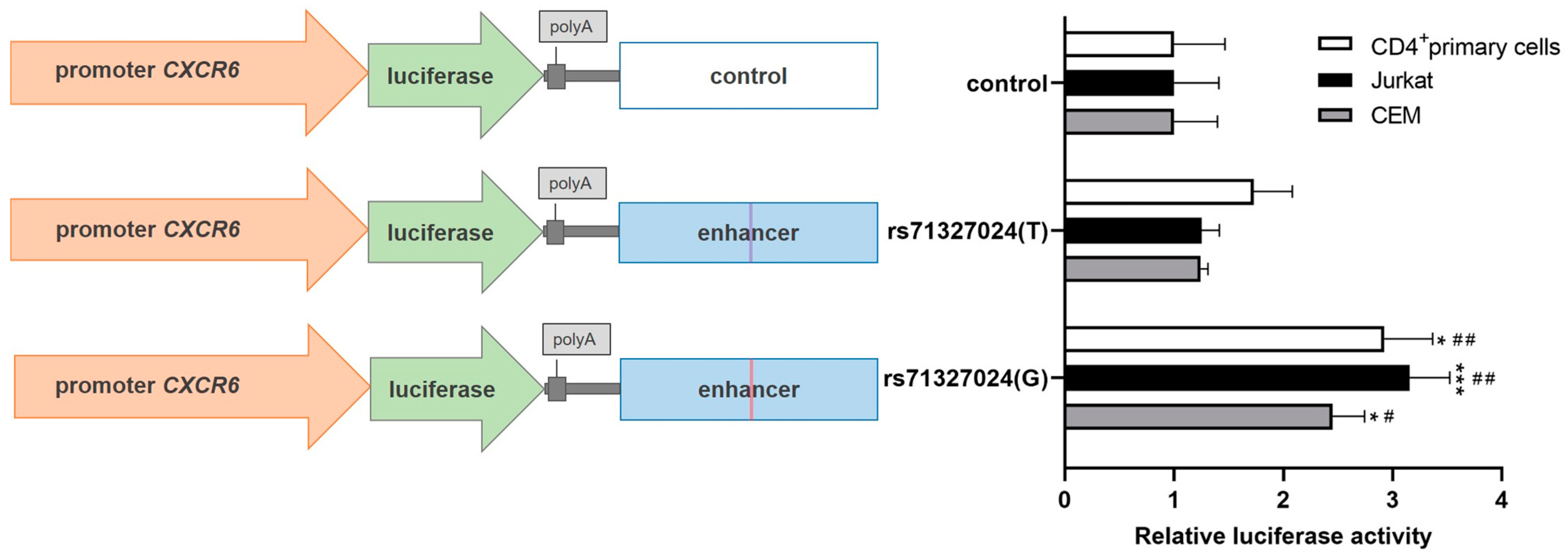 Ijms 24 13790 g001 Ijms 24 13790 g001