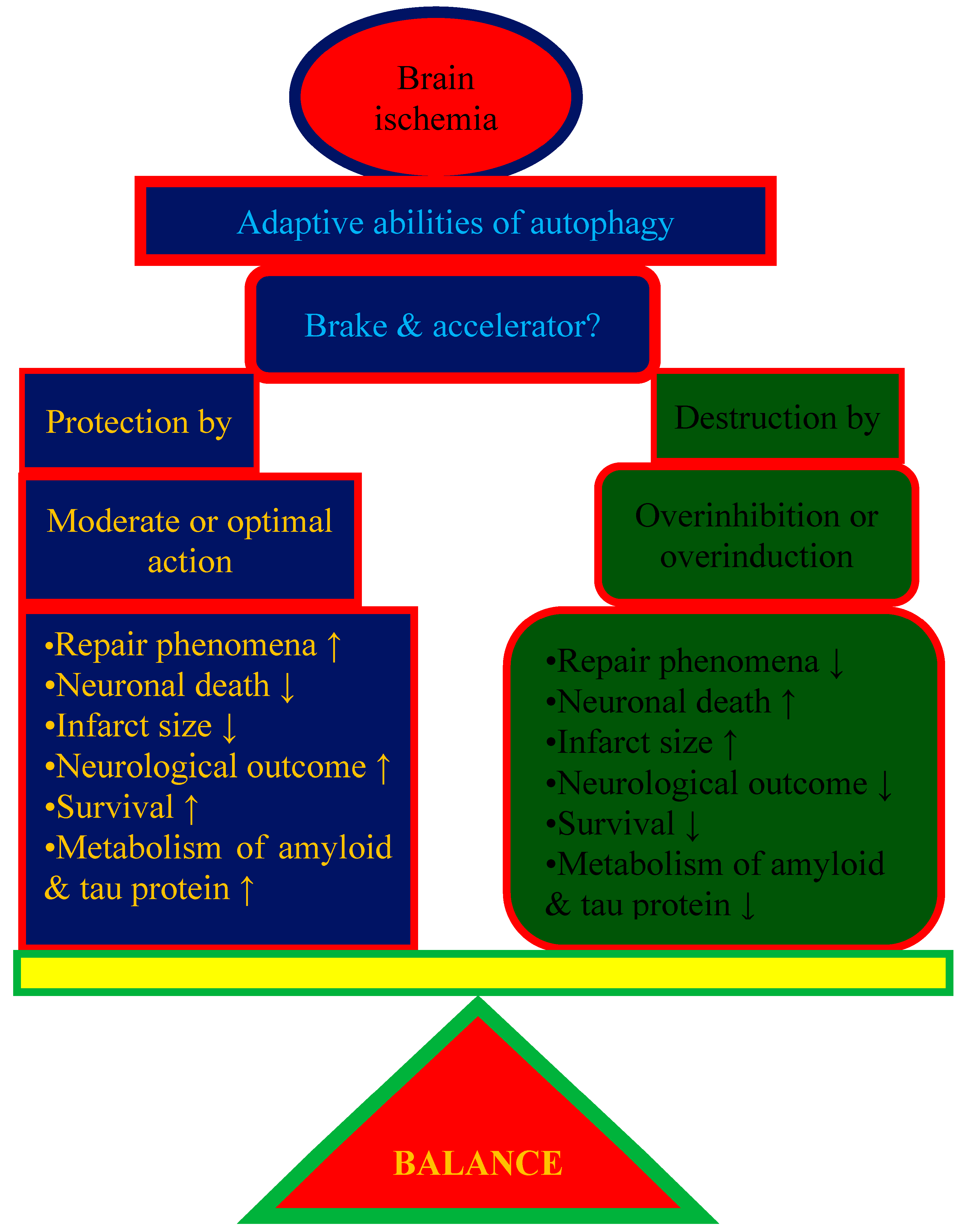 Ijms 24 13793 g001 Ijms 24 13793 g001