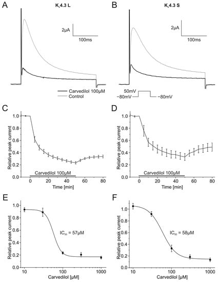 Differential Effects of R(-)-Mexiletine(-) mexiletine on Cloned Neuronal  and Cardiac Sodium Channel ? Subunits