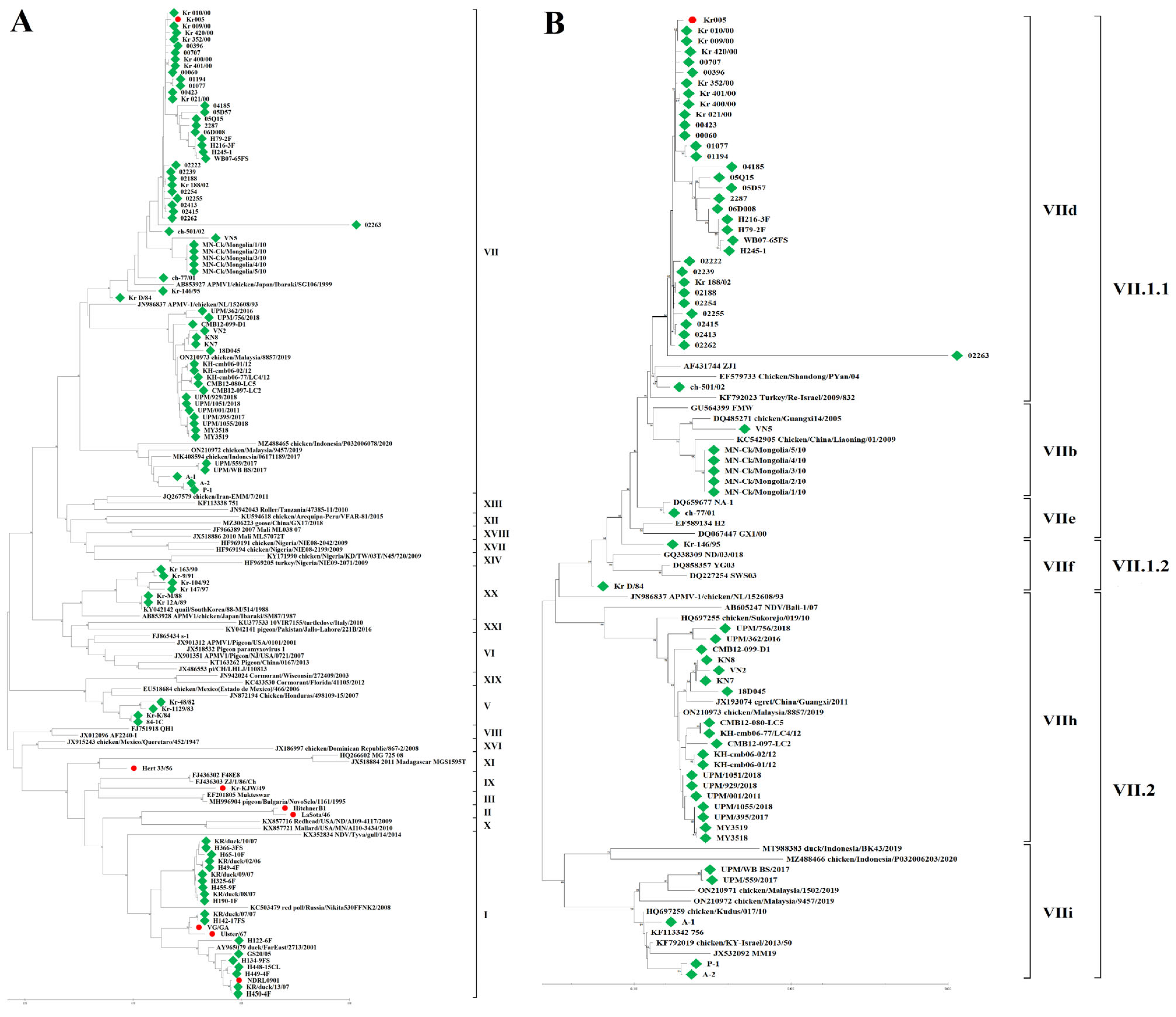 Ijms 24 13847 g004 Ijms 24 13847 g004