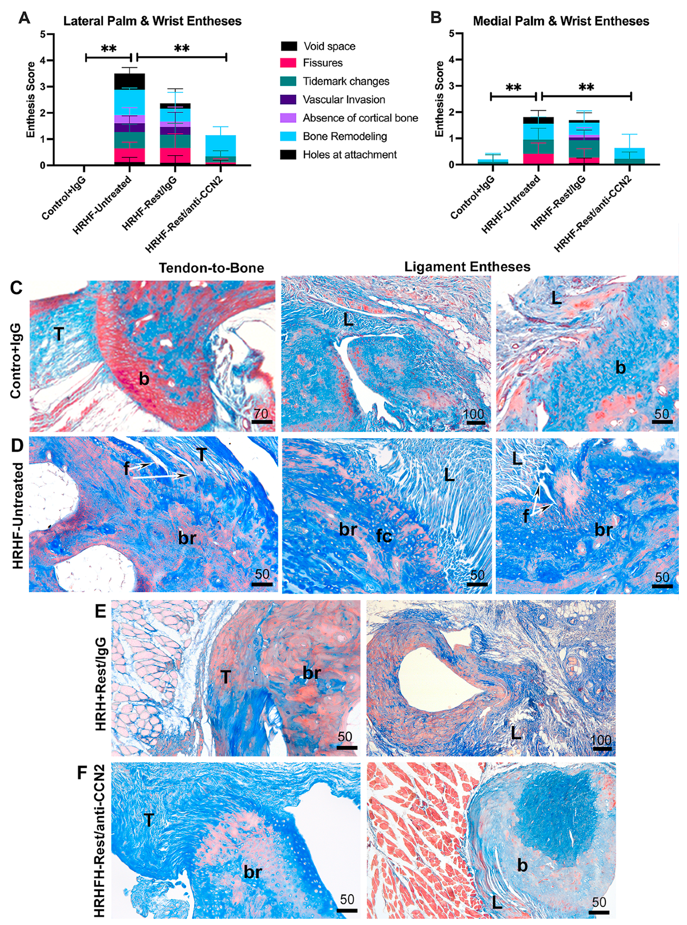 Ijms 24 13866 g007 Ijms 24 13866 g007