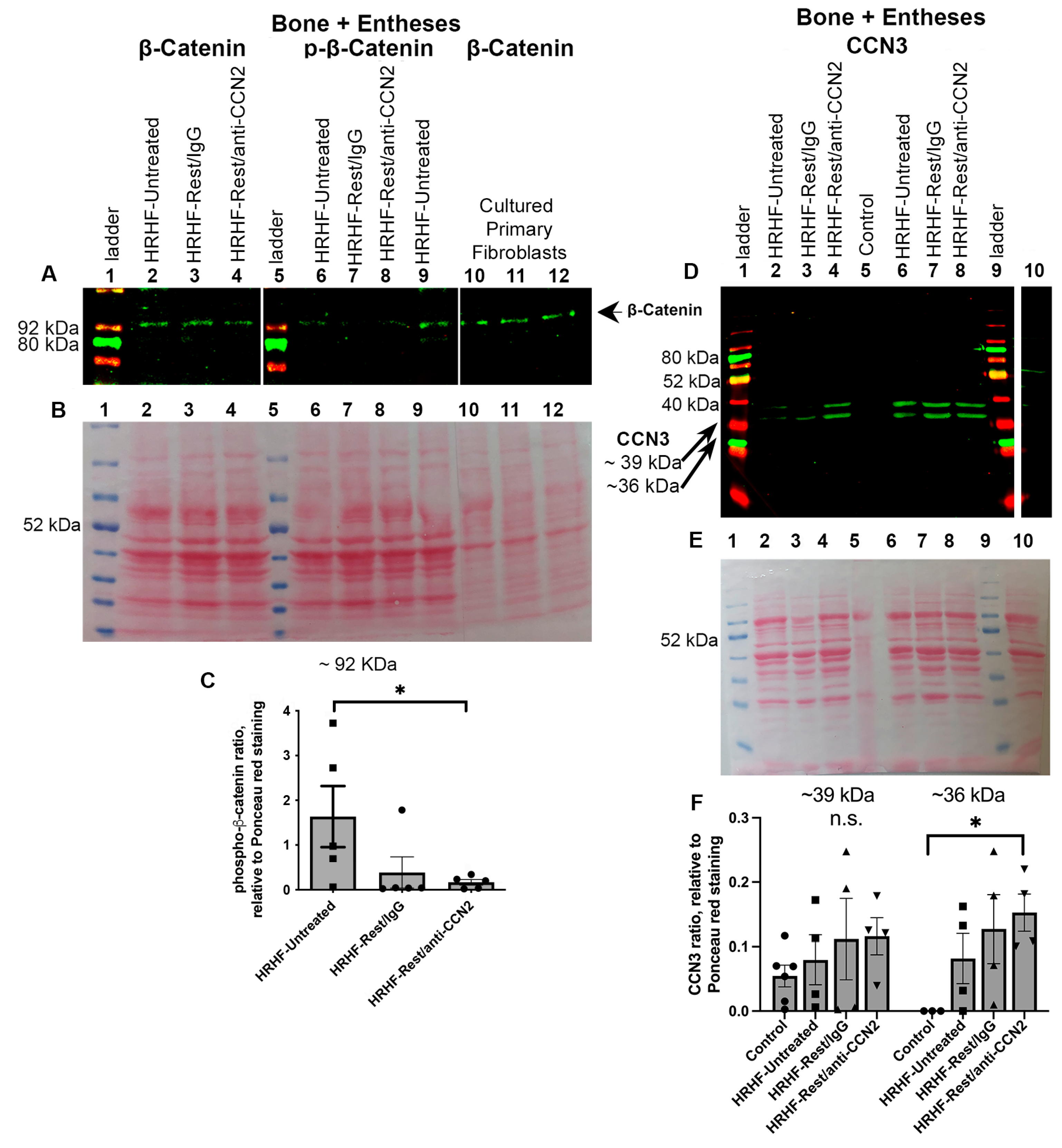 Ijms 24 13866 g008 Ijms 24 13866 g008