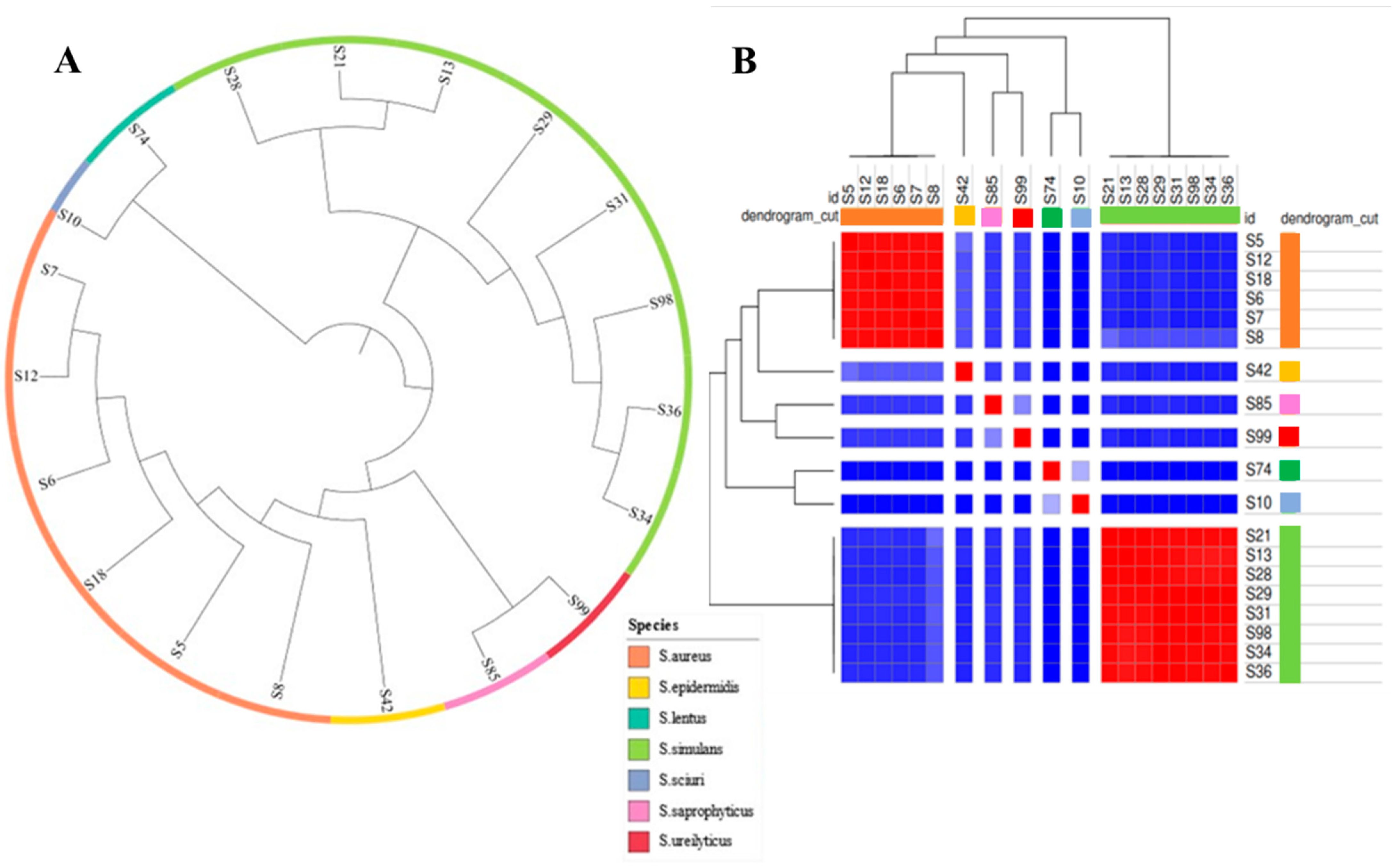 Ijms 24 13883 g005 Ijms 24 13883 g005