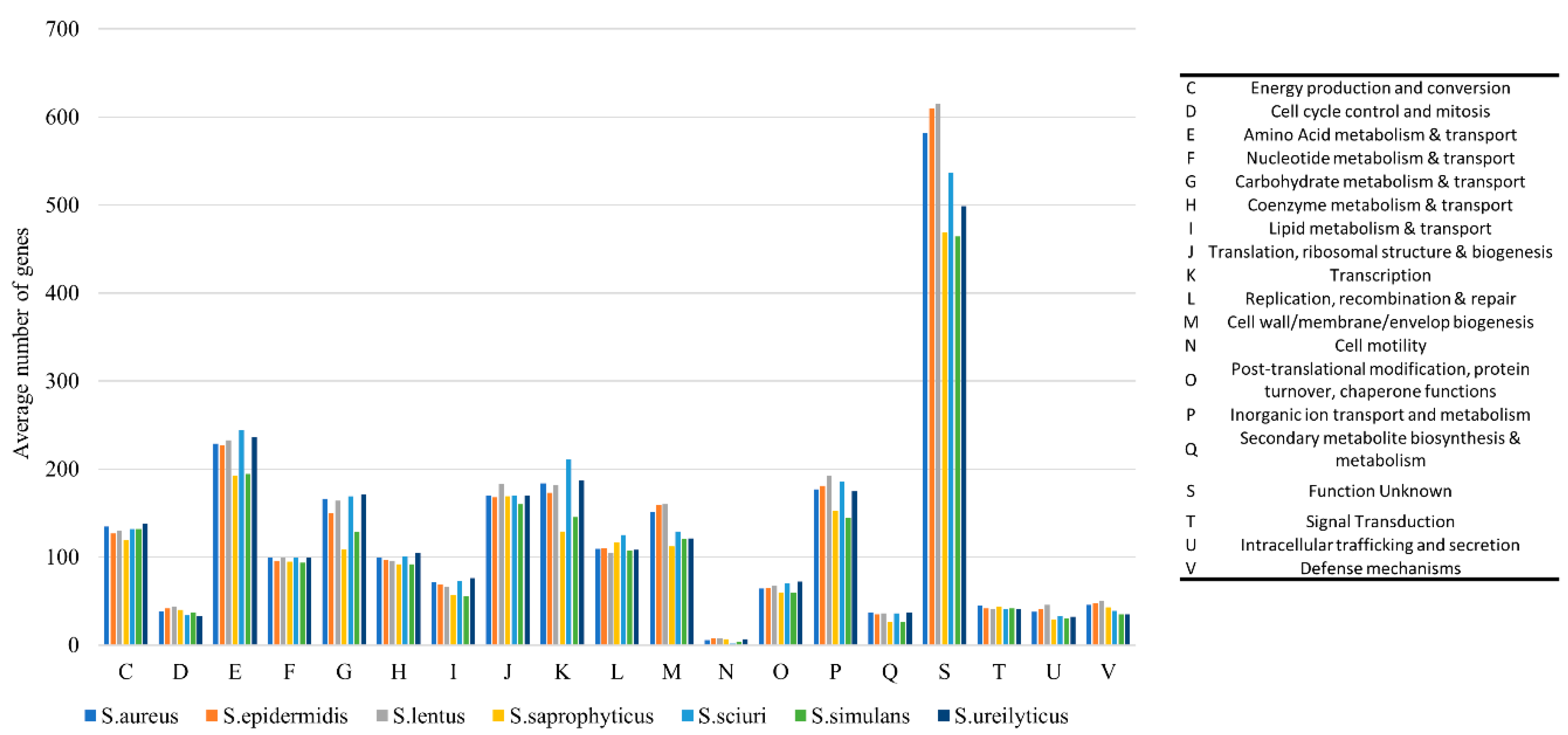 Ijms 24 13883 g006 Ijms 24 13883 g006