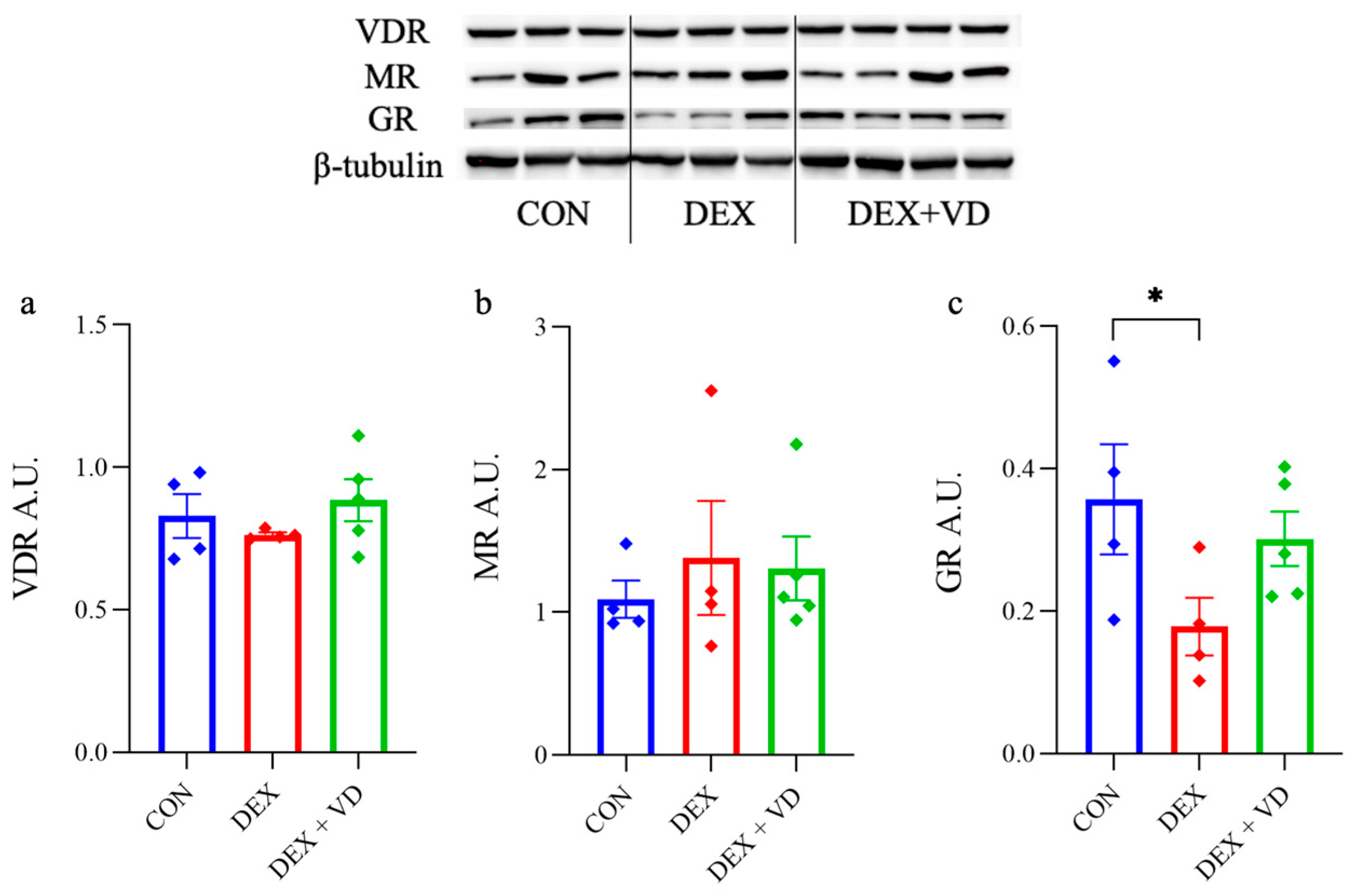 Ijms 24 13941 g003 Ijms 24 13941 g003