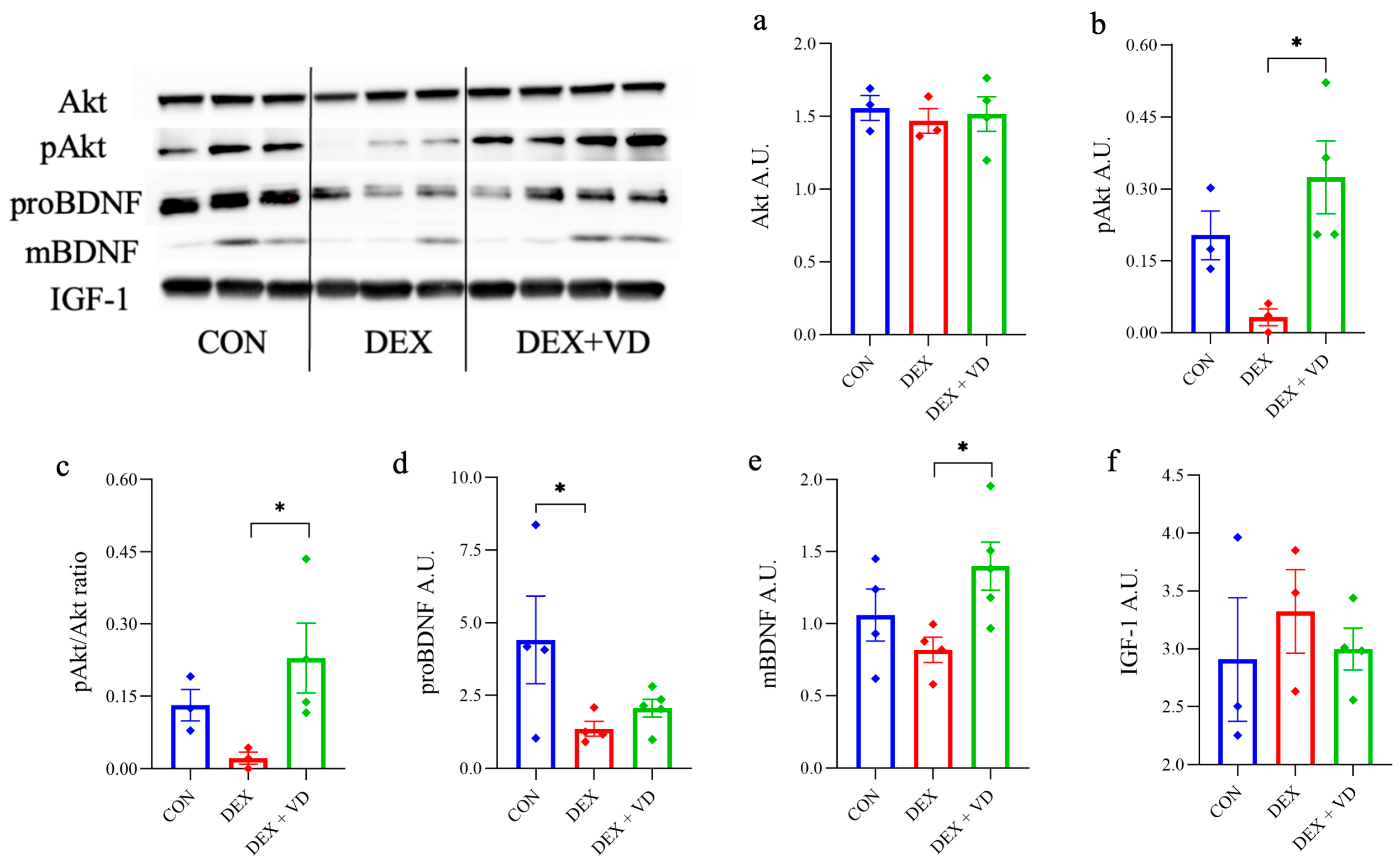 Ijms 24 13941 g004 Ijms 24 13941 g004