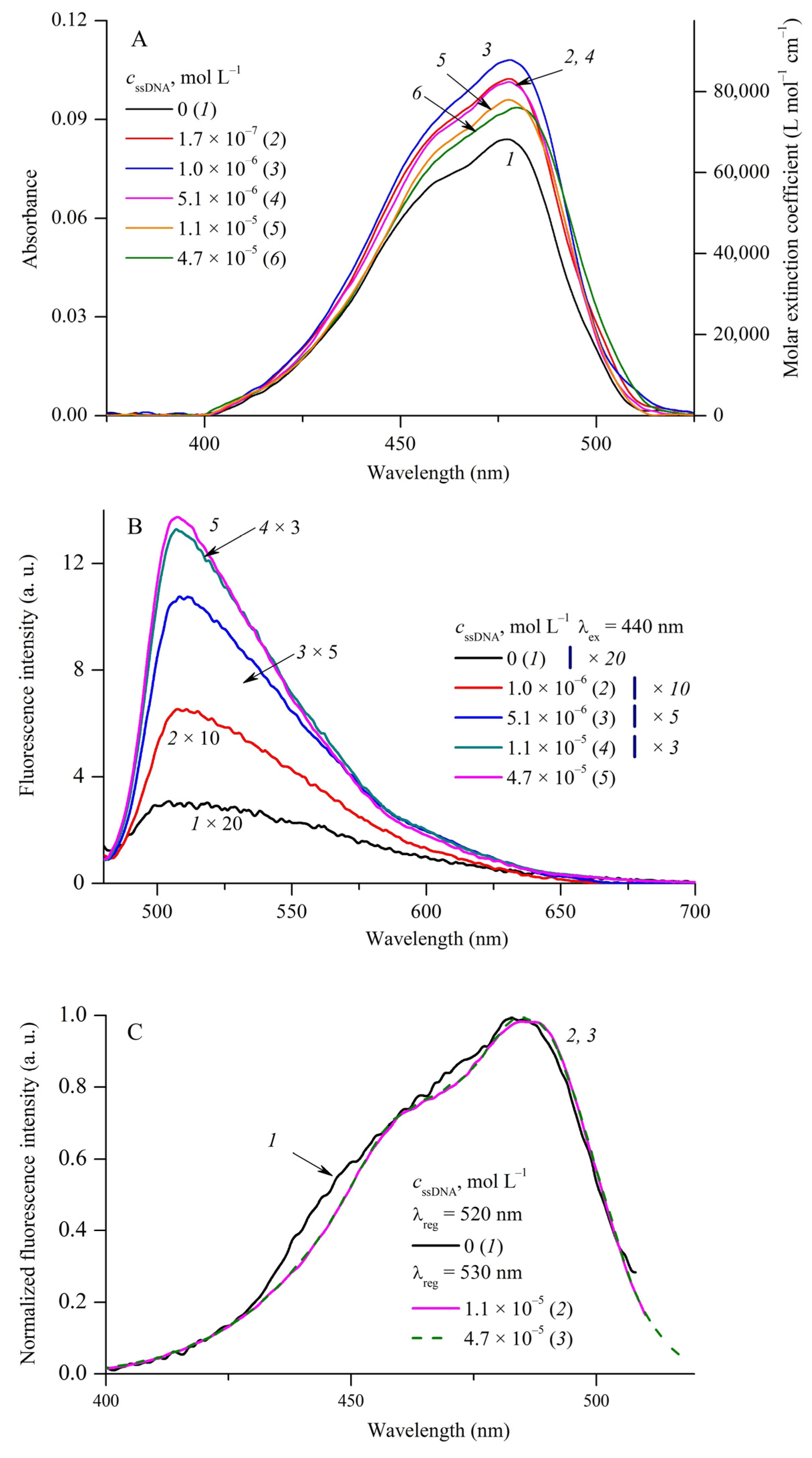 Ijms 24 13954 g005 Ijms 24 13954 g005