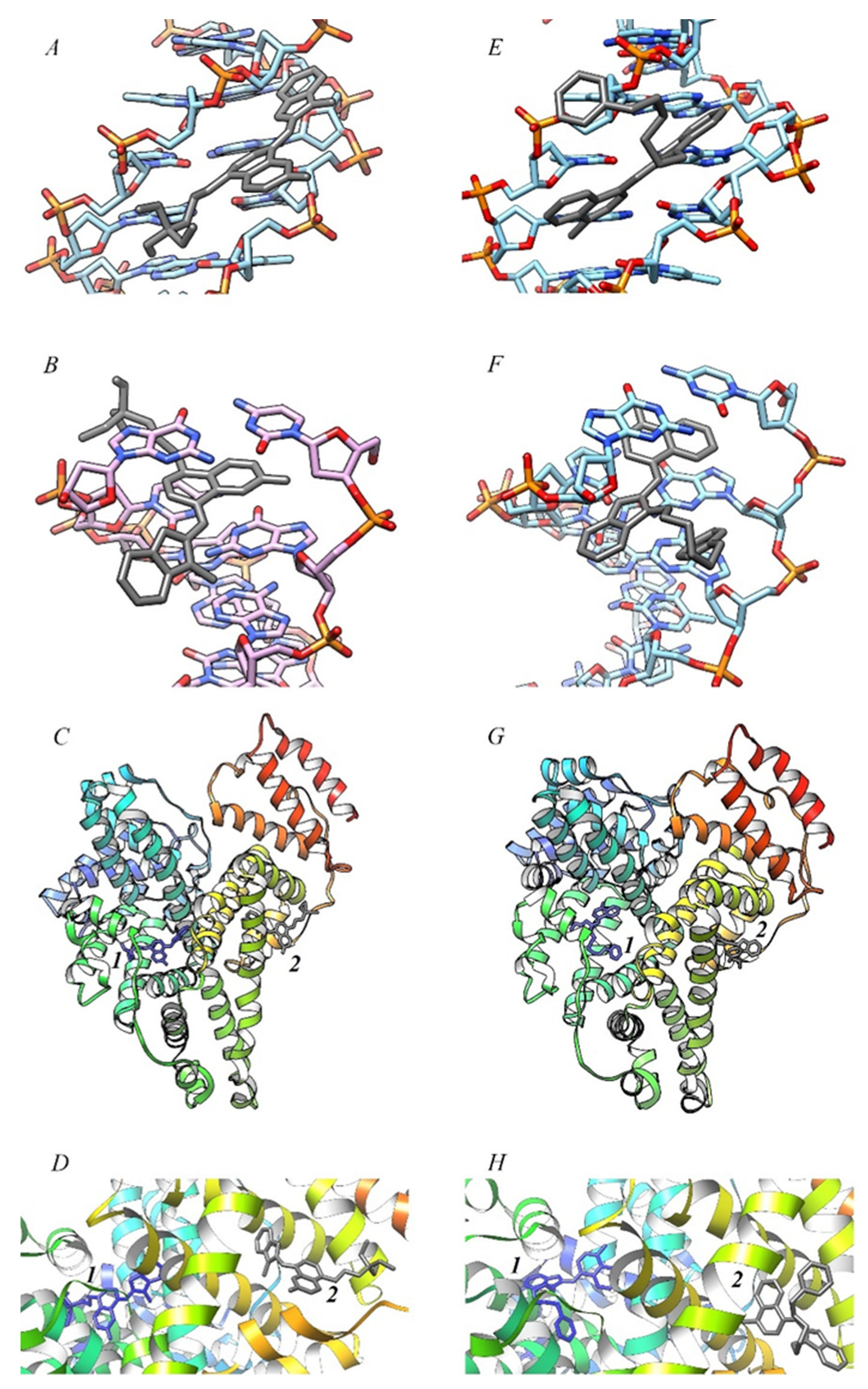 Ijms 24 13954 g007 Ijms 24 13954 g007
