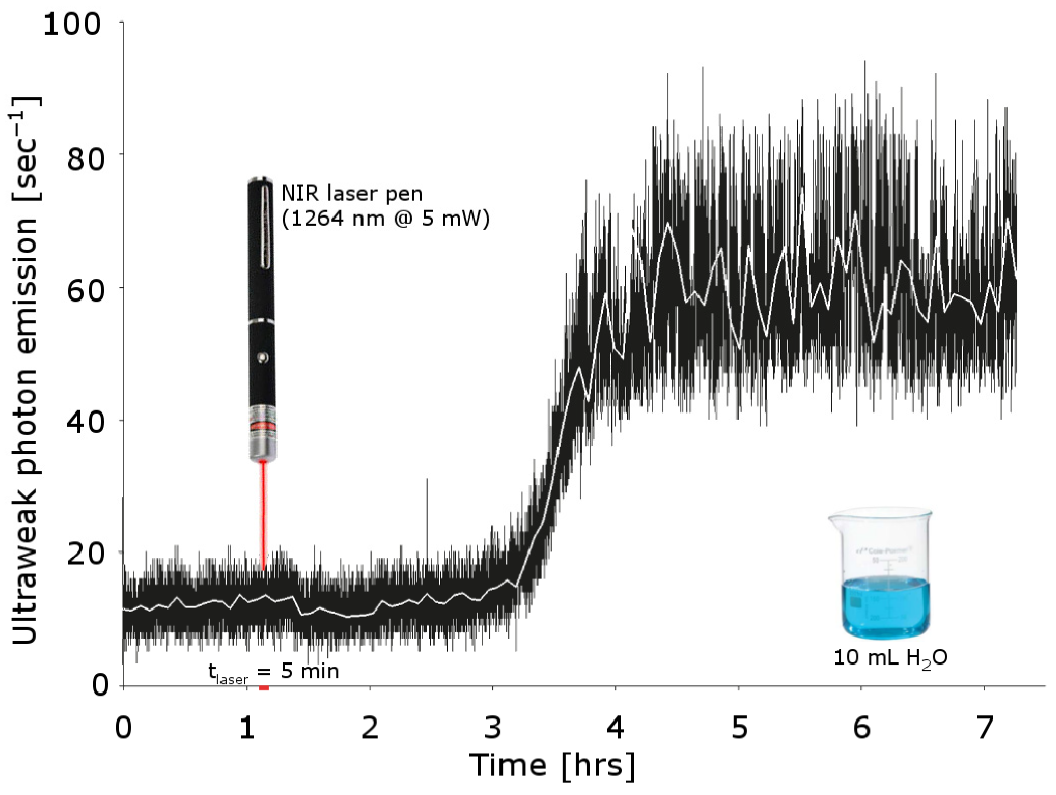 Ijms 24 14003 g001 Ijms 24 14003 g001