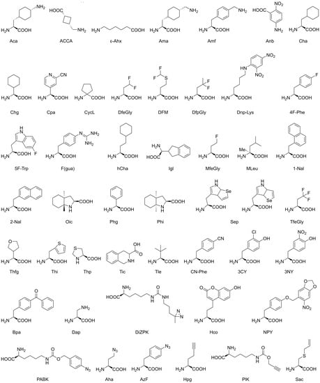 IJMS Free Full Text Non Canonical Amino Acids in Analyses of