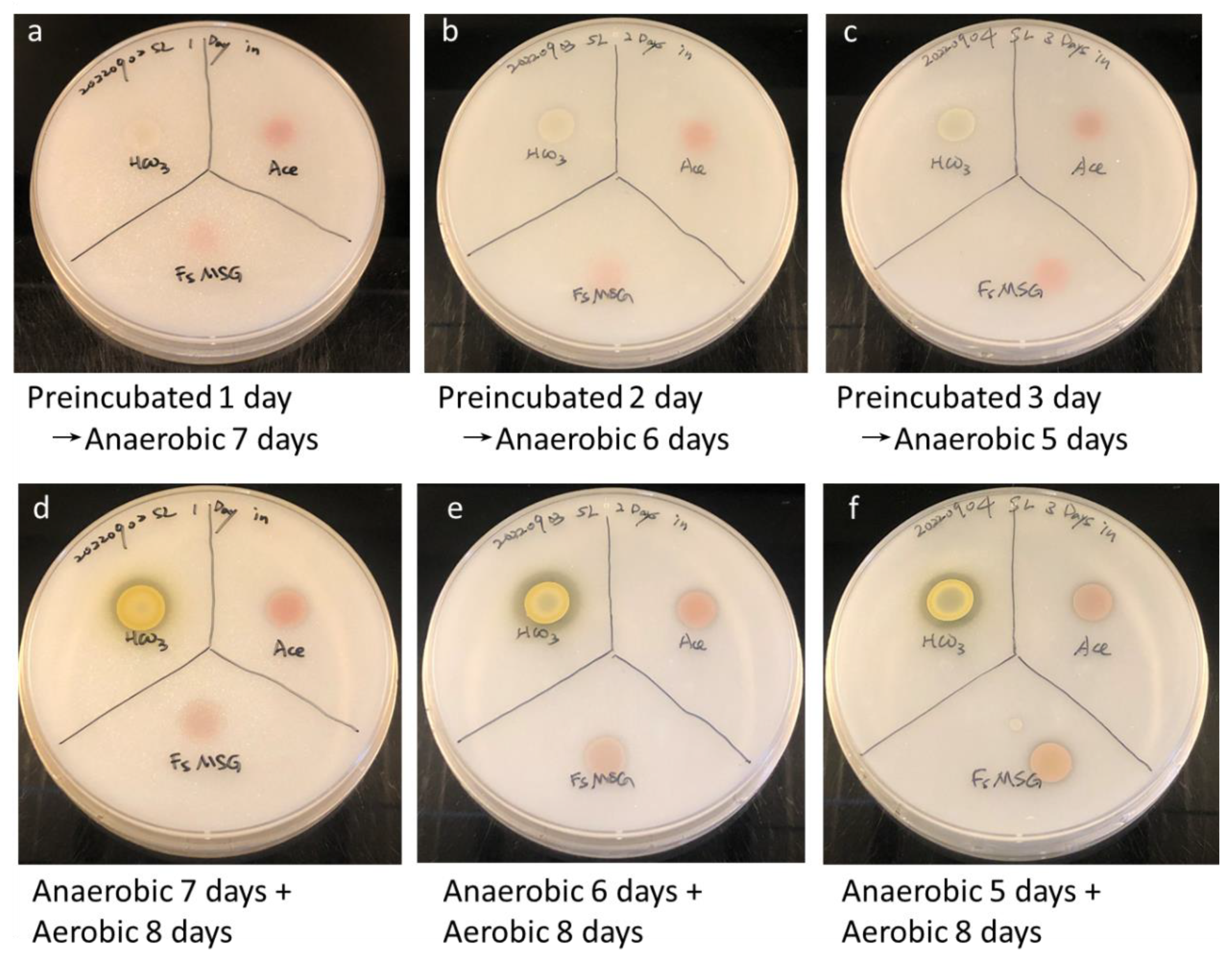Ijms 24 14080 g003 Ijms 24 14080 g003