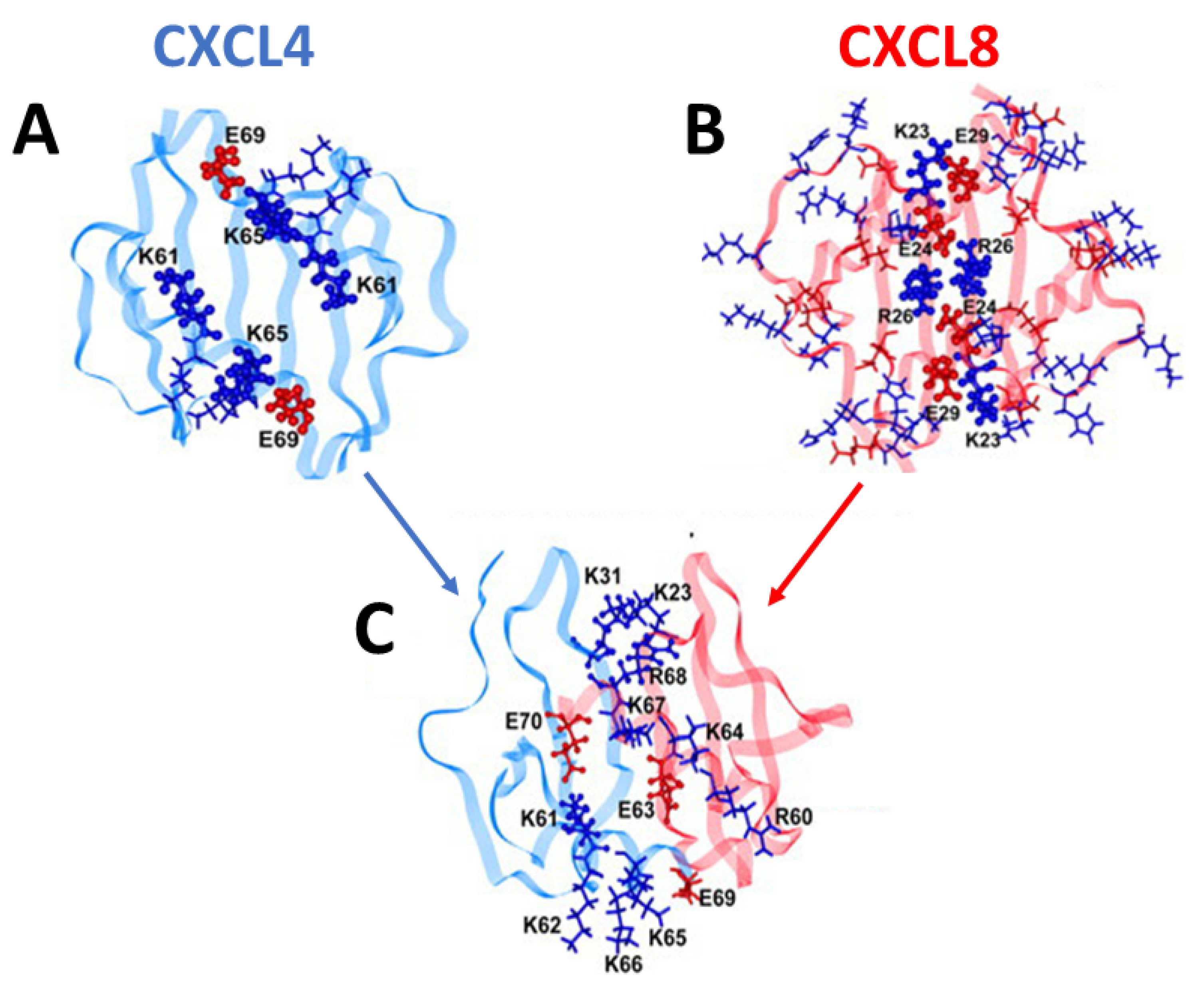 Ijms 24 14083 g002 Ijms 24 14083 g002