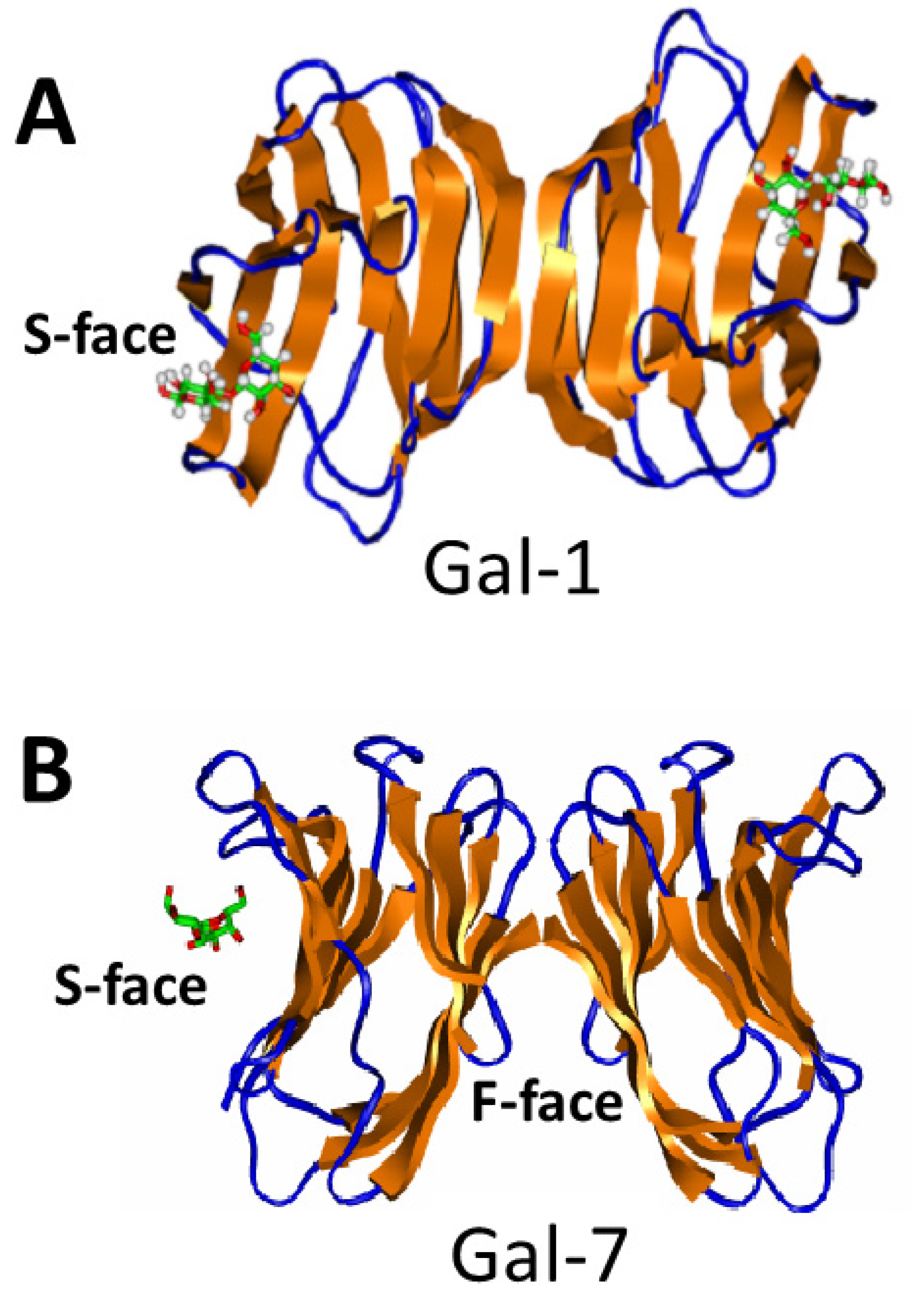 Ijms 24 14083 g003 Ijms 24 14083 g003
