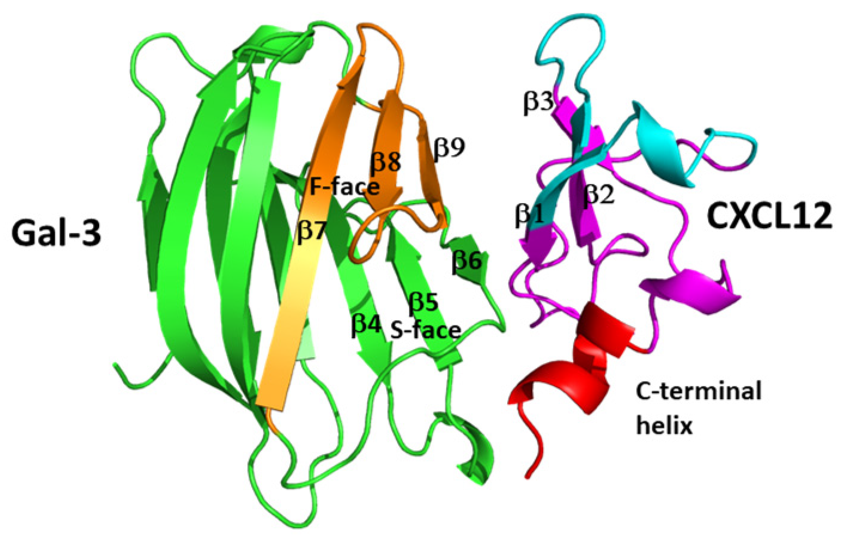 Ijms 24 14083 g005 Ijms 24 14083 g005