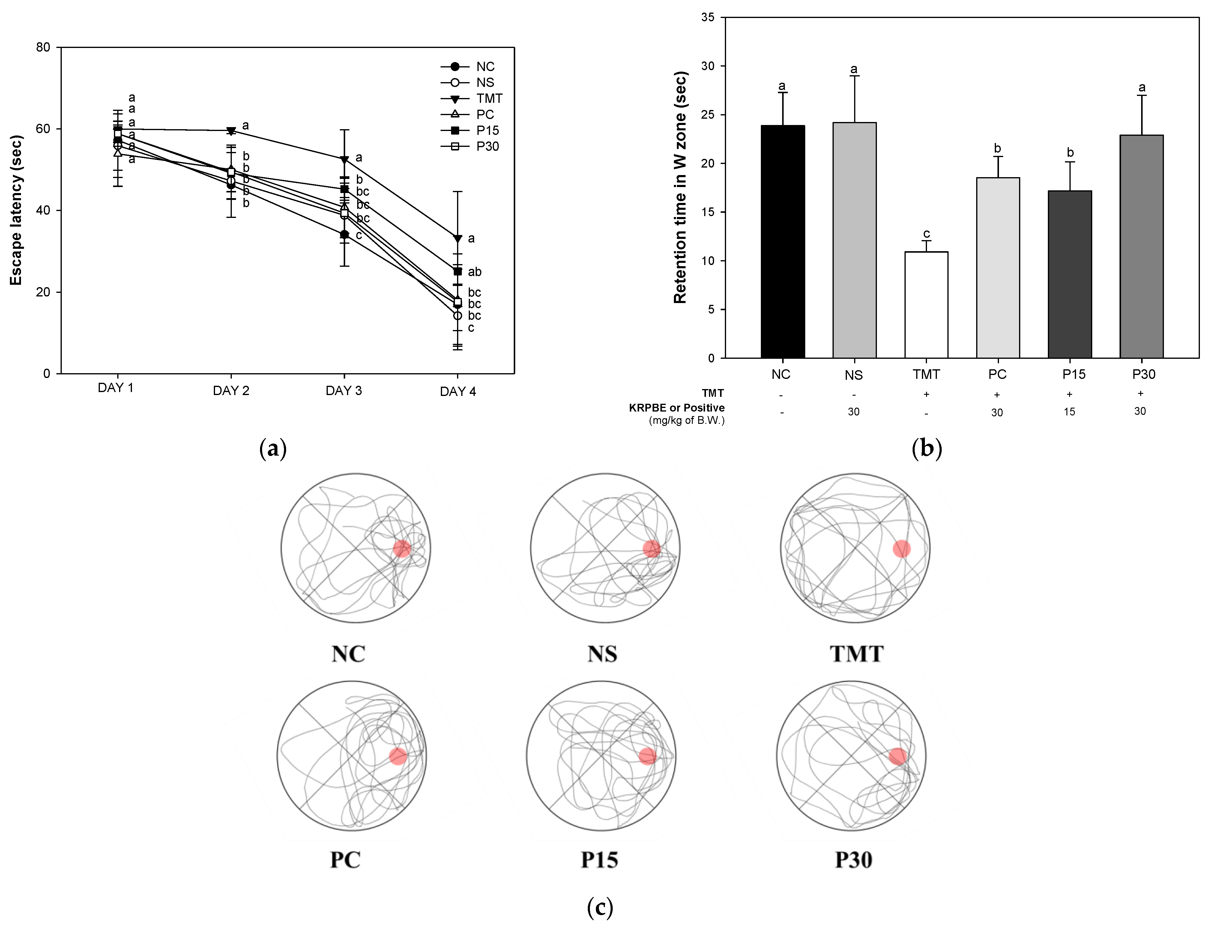 Ijms 24 14084 g003 Ijms 24 14084 g003