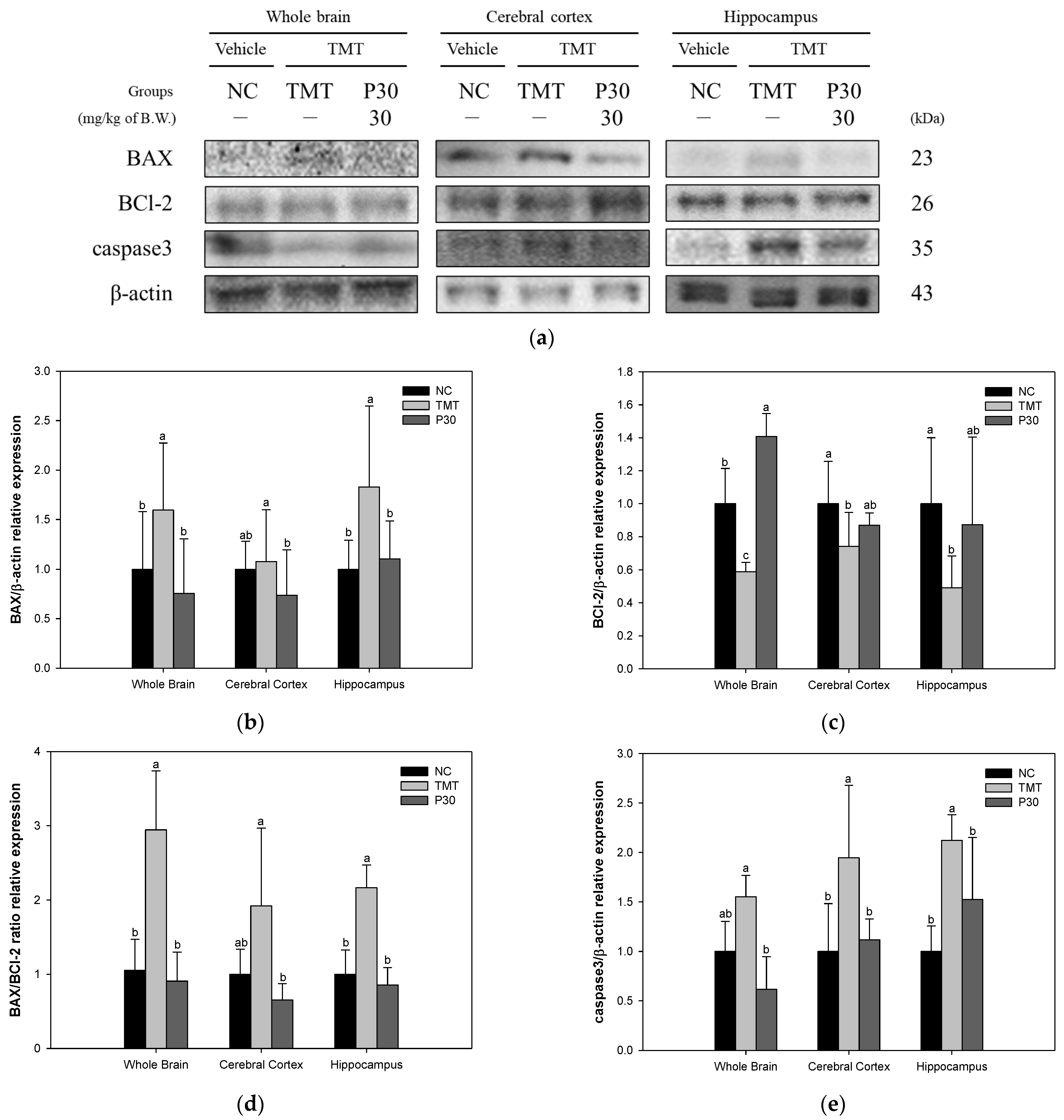 Ijms 24 14084 g009 Ijms 24 14084 g009