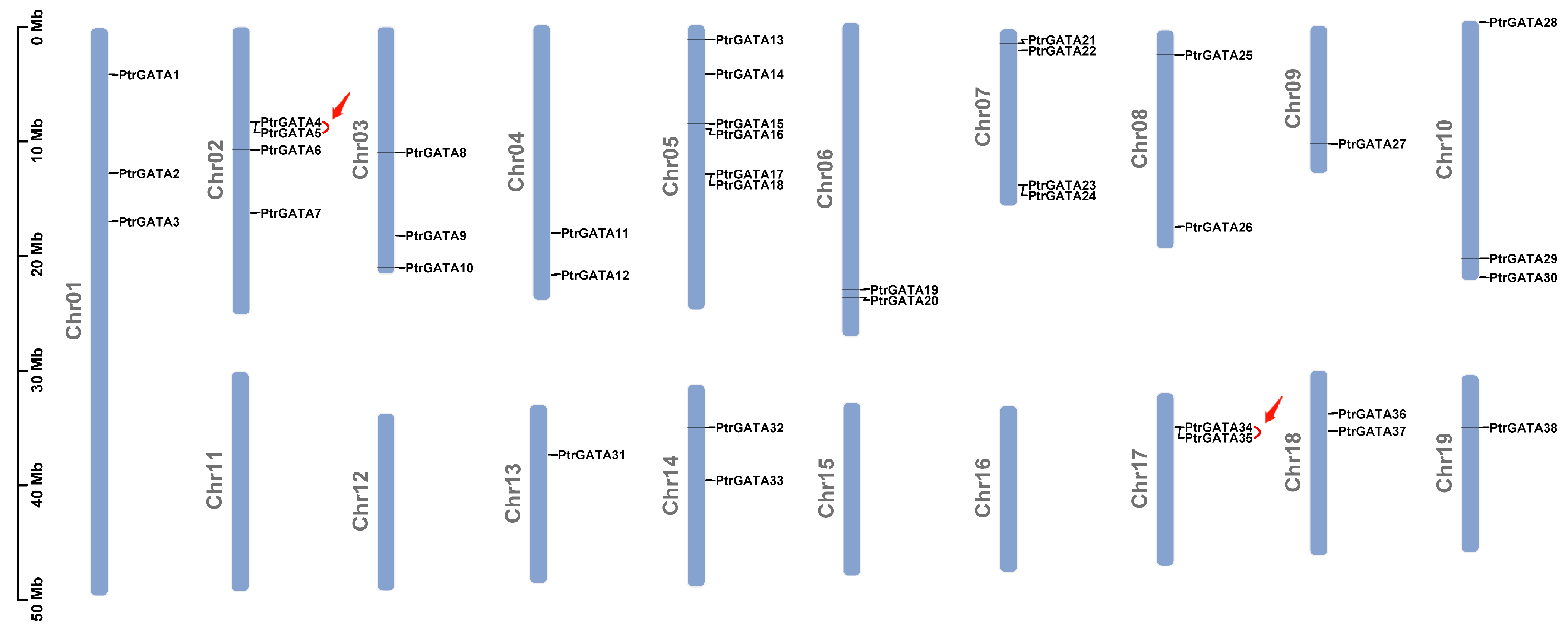 Ijms 24 14118 g004