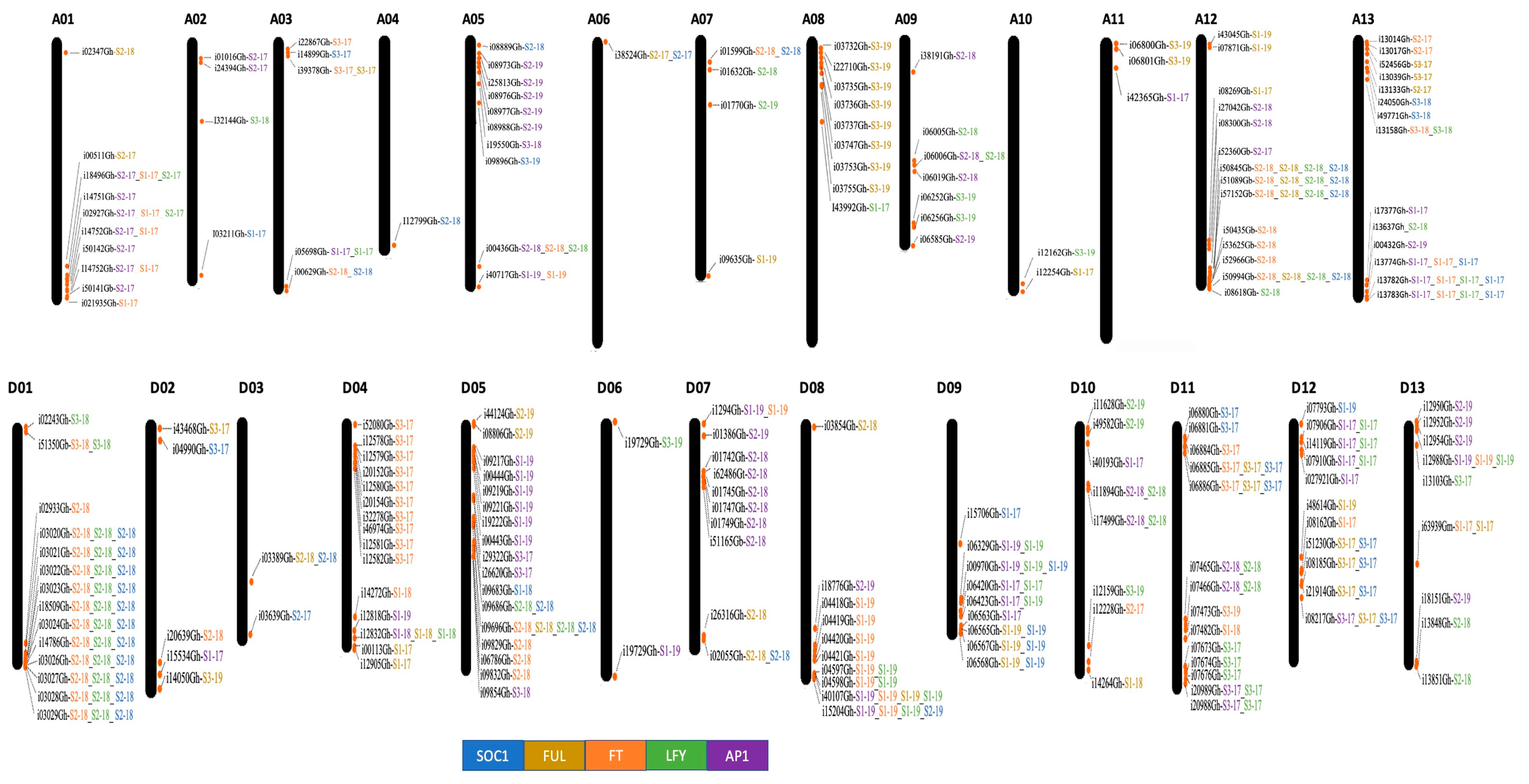 Ijms 24 14174 g001 Ijms 24 14174 g001