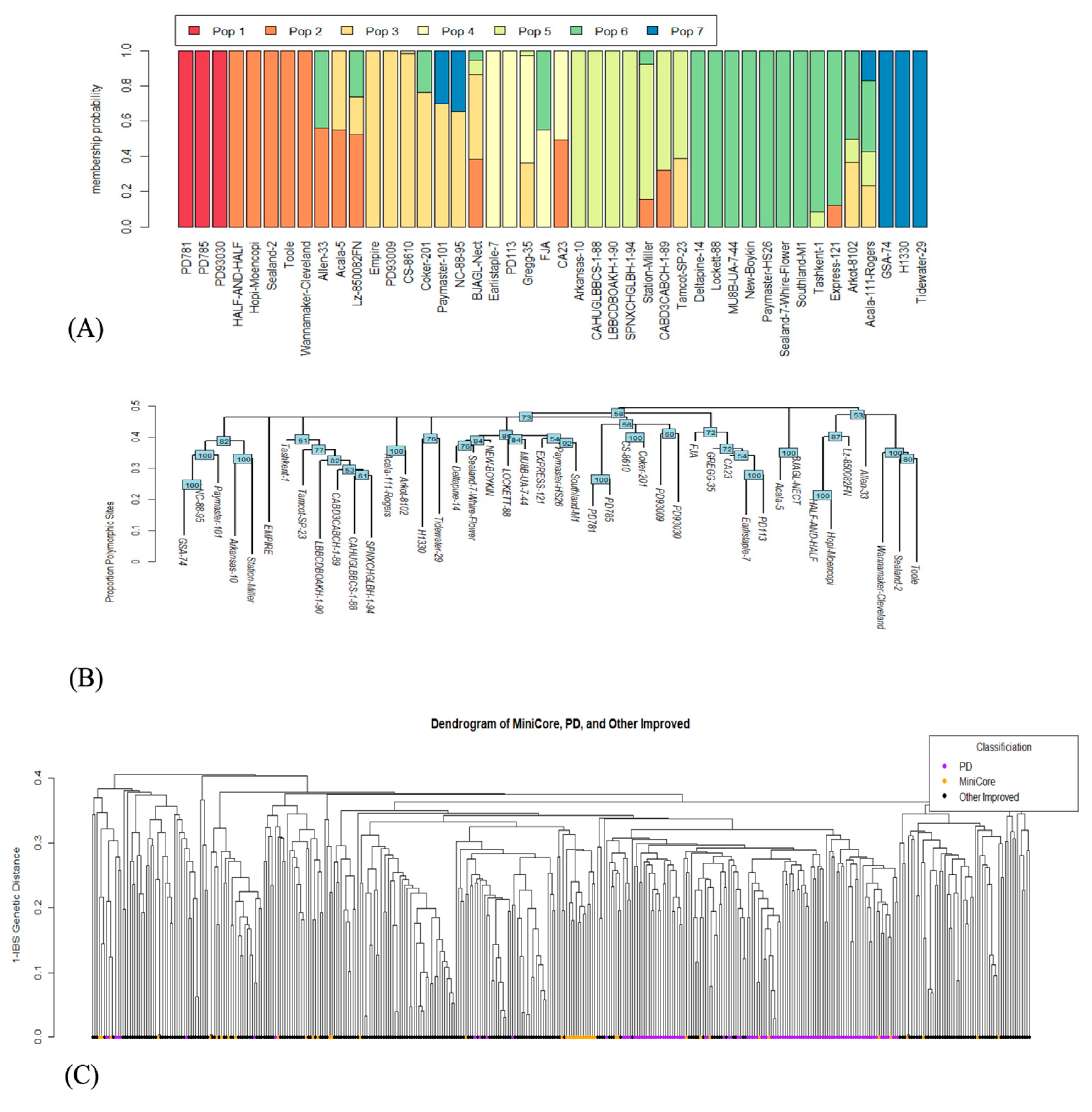 Ijms 24 14174 g002 Ijms 24 14174 g002