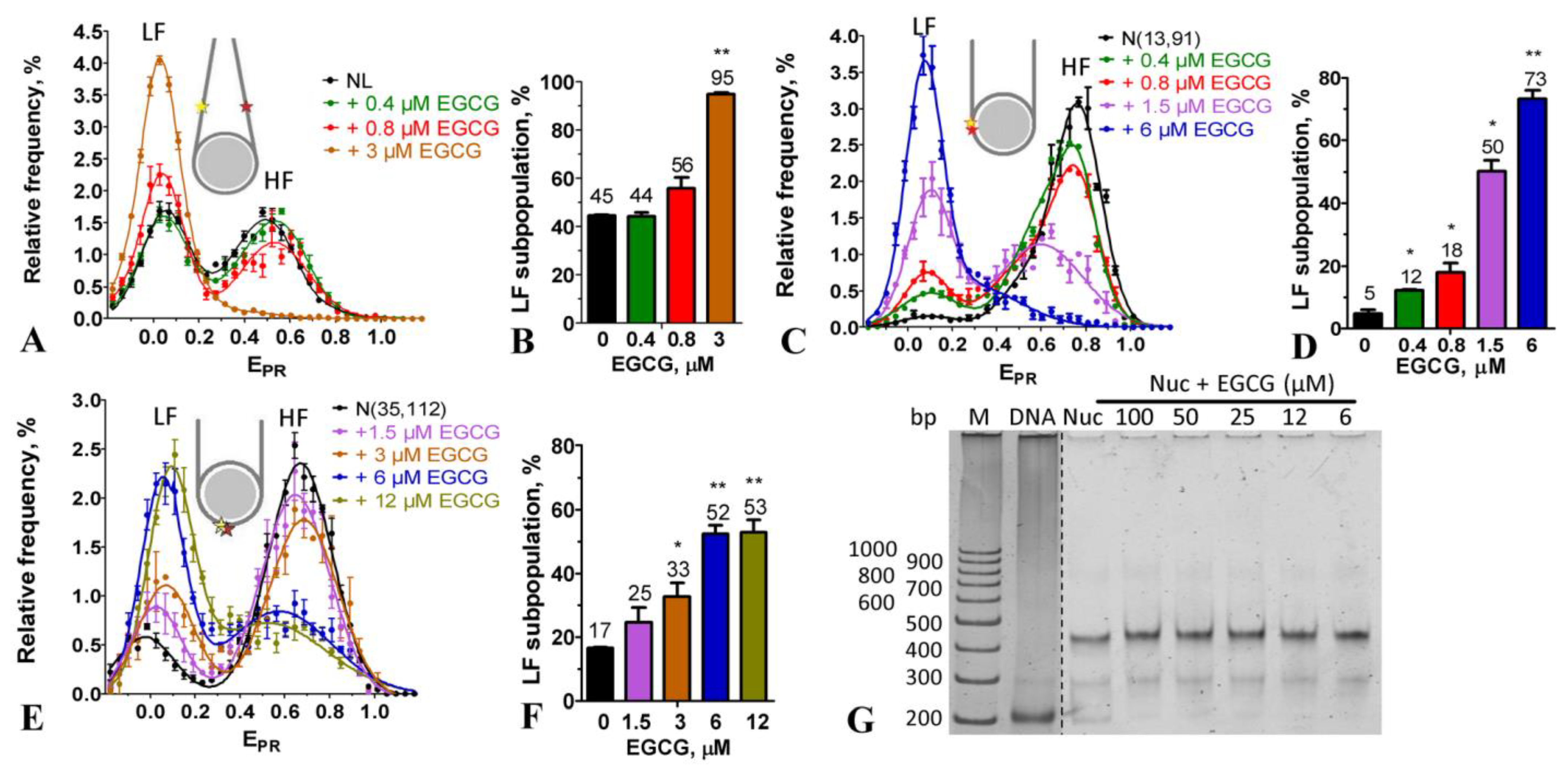 Ijms 24 14187 g002 Ijms 24 14187 g002