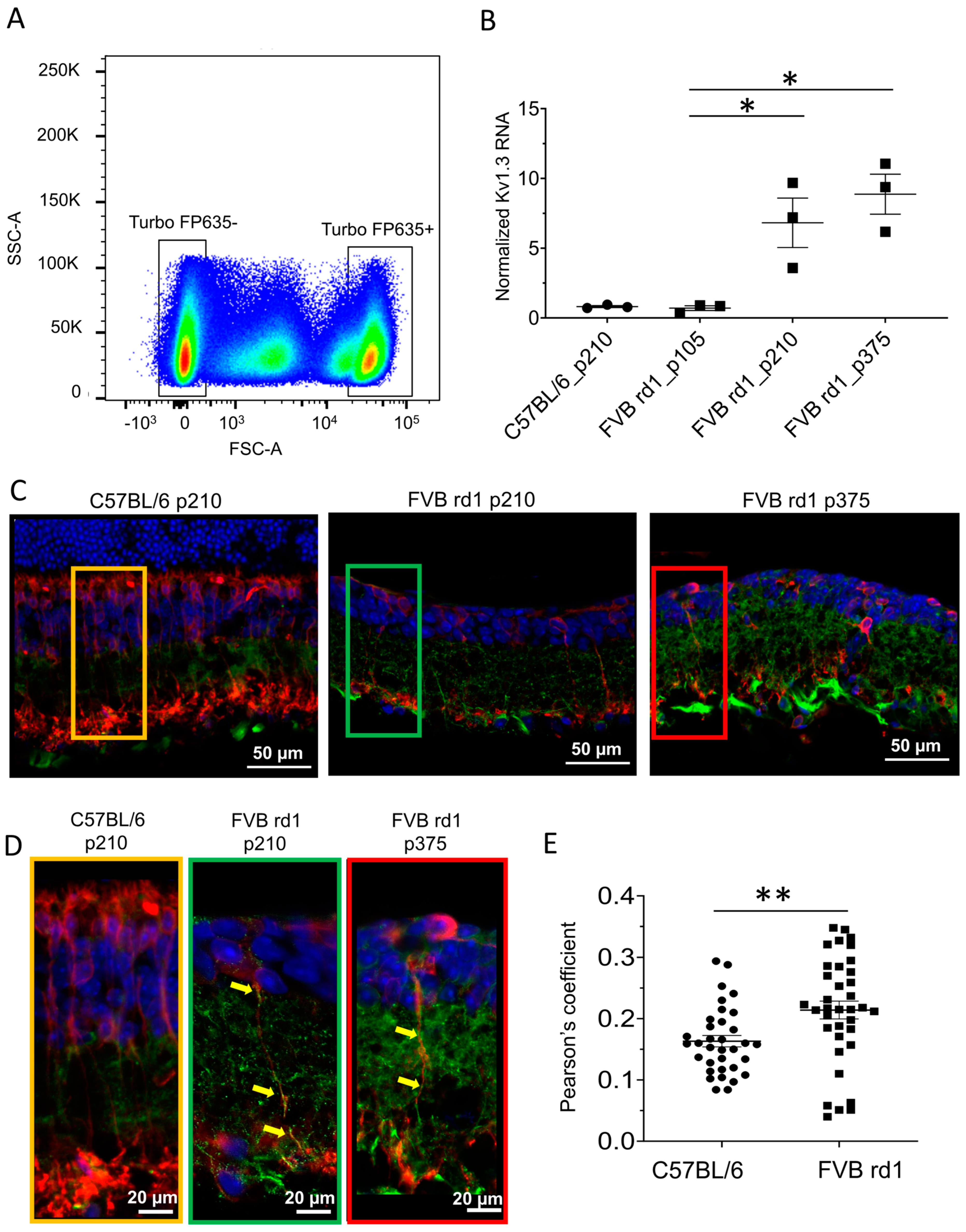 Ijms 24 14207 g001 Ijms 24 14207 g001