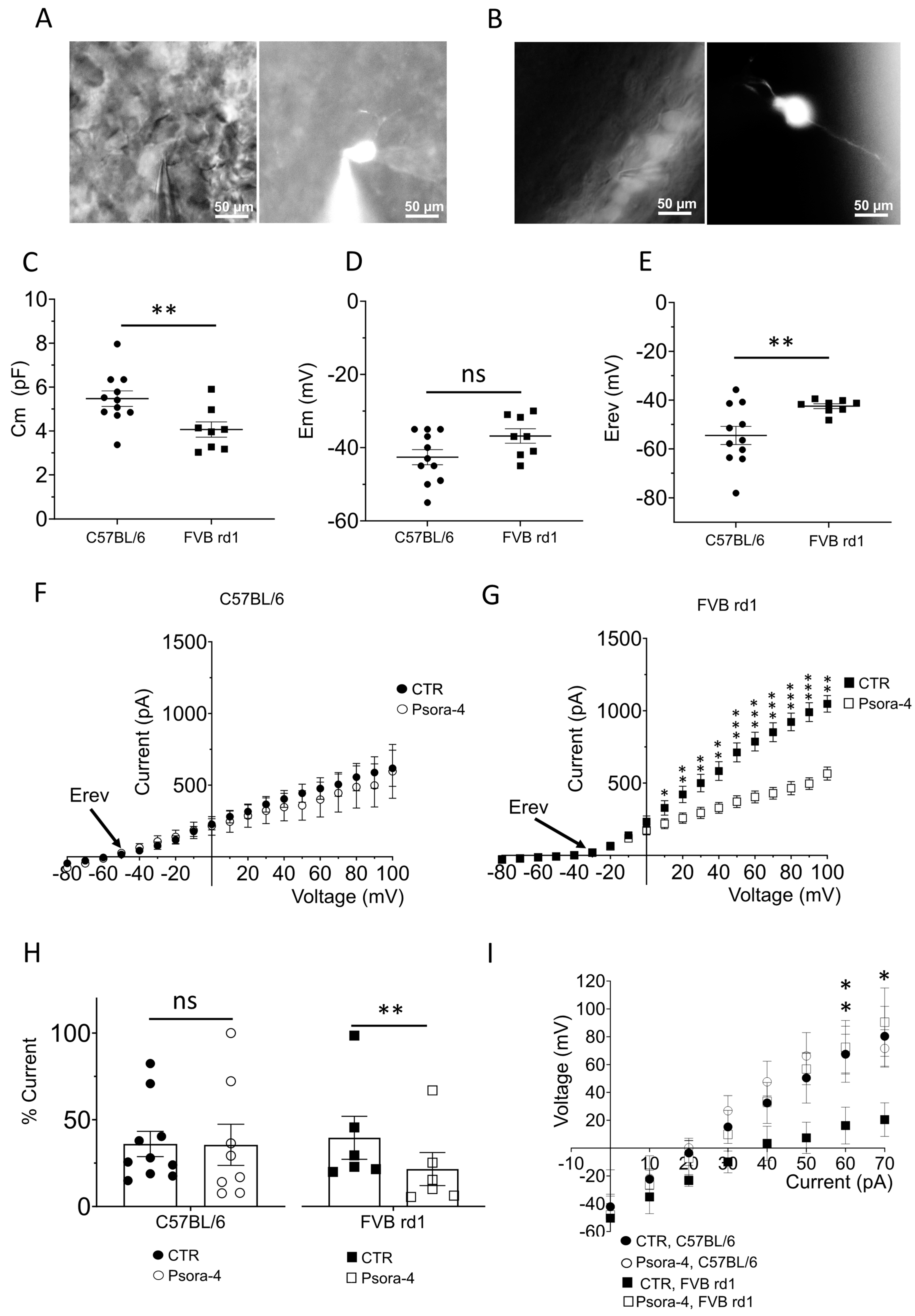 Ijms 24 14207 g003 Ijms 24 14207 g003