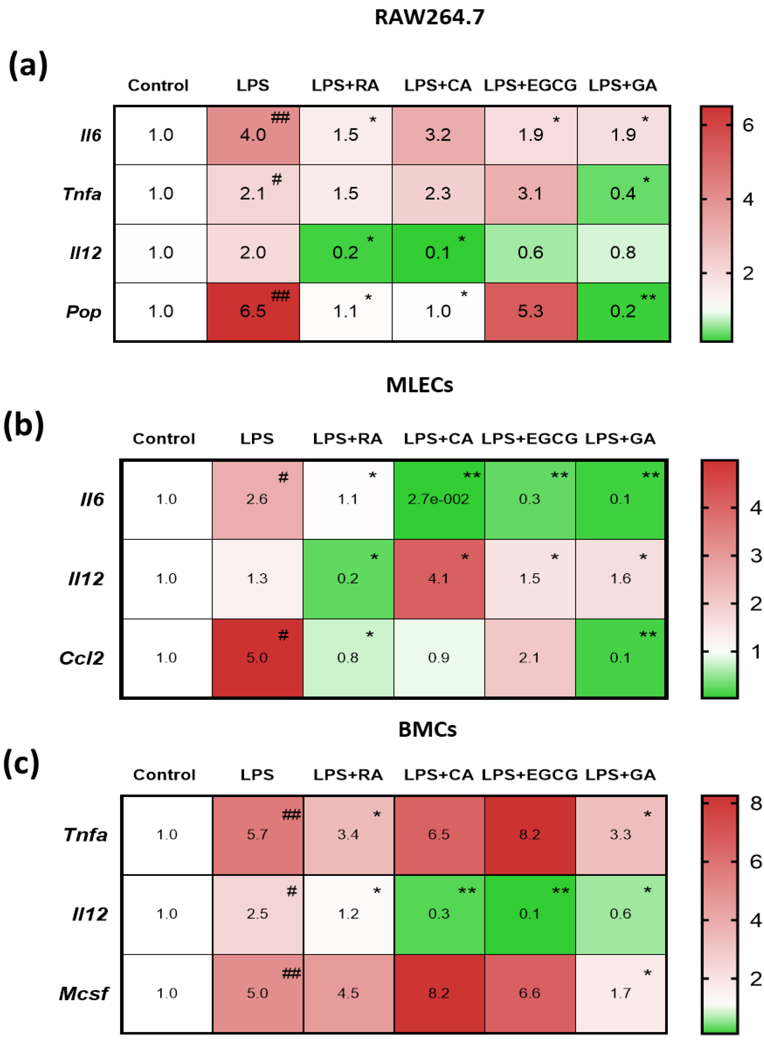 Ijms 24 14235 g003 Ijms 24 14235 g003