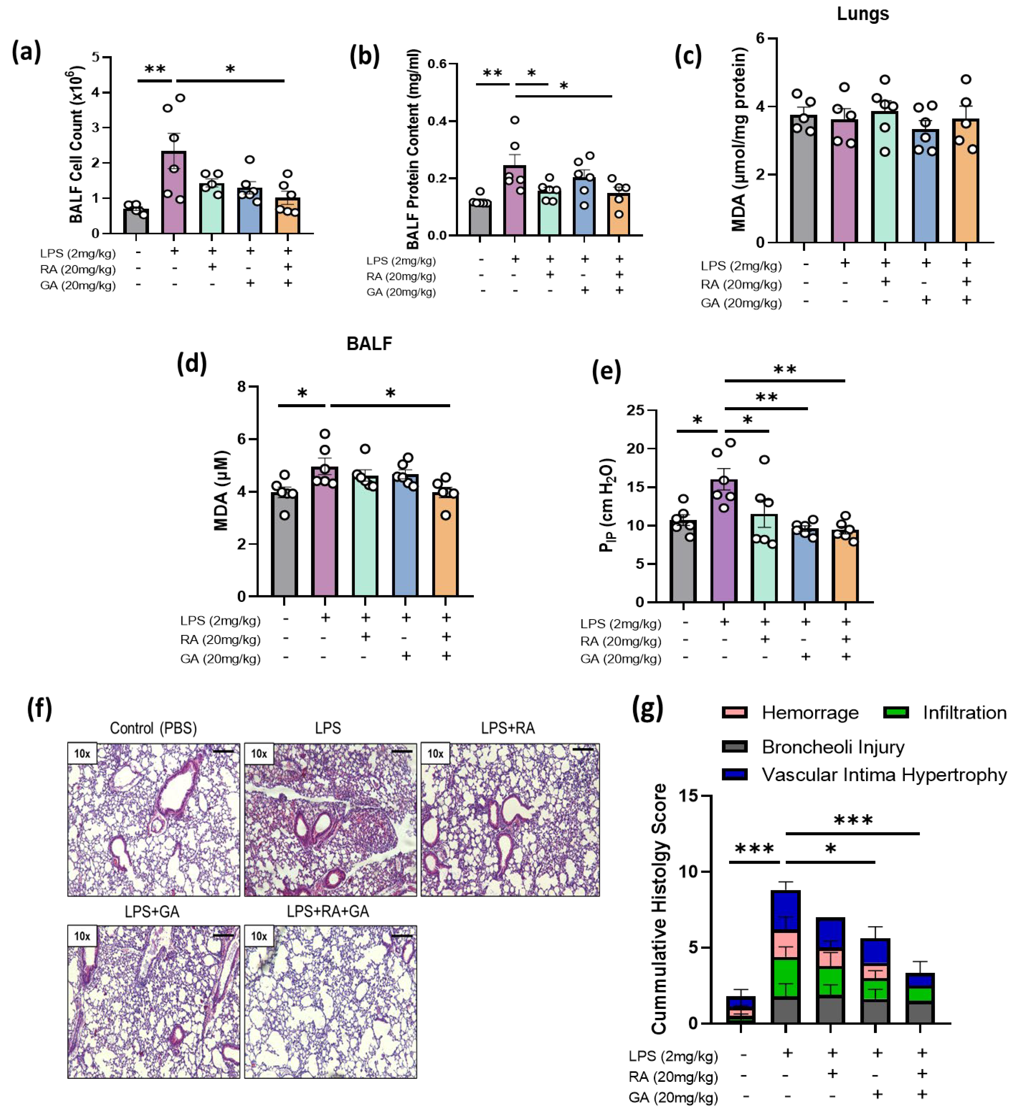 Ijms 24 14235 g004 Ijms 24 14235 g004