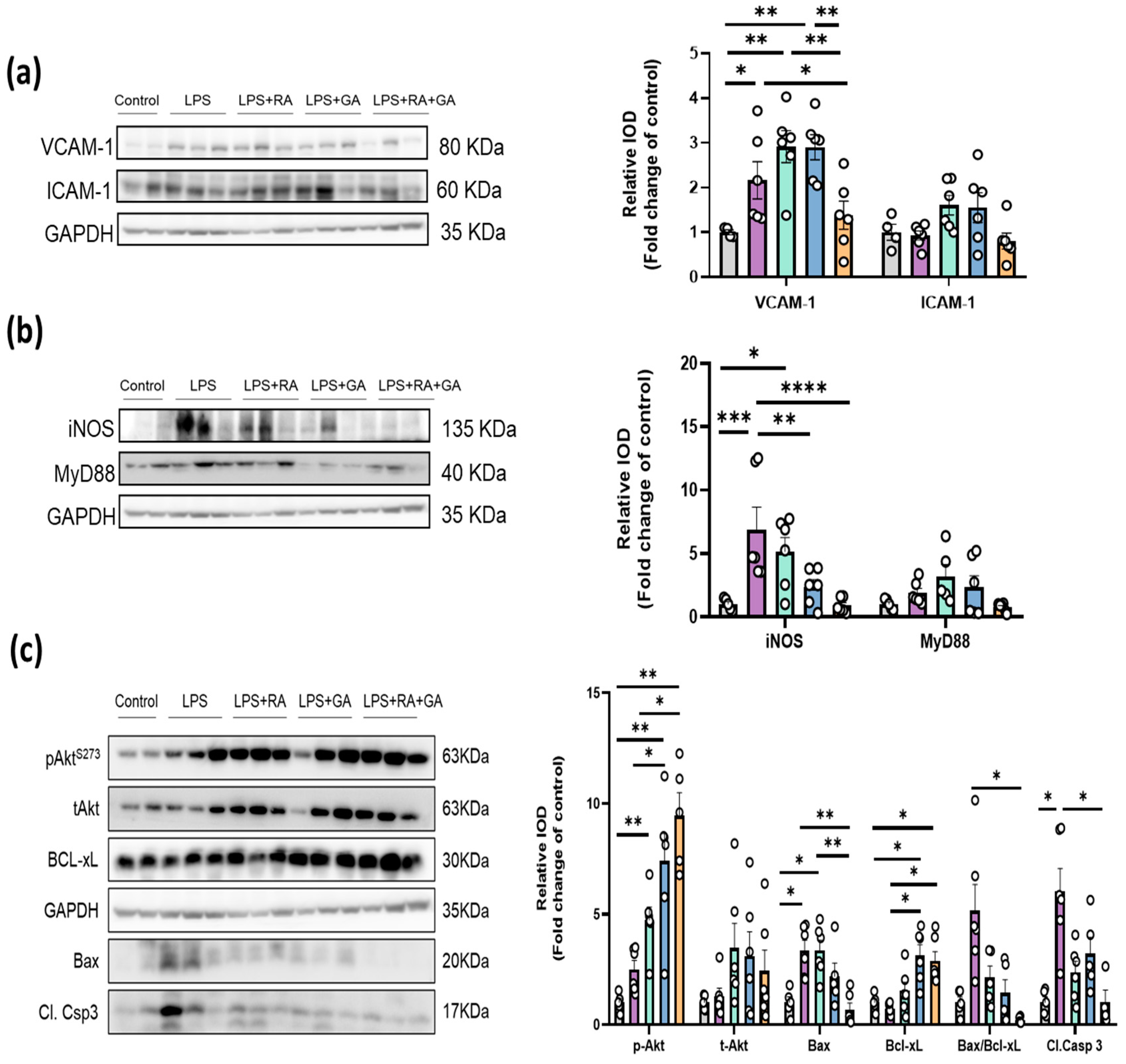 Ijms 24 14235 g005a Ijms 24 14235 g005a