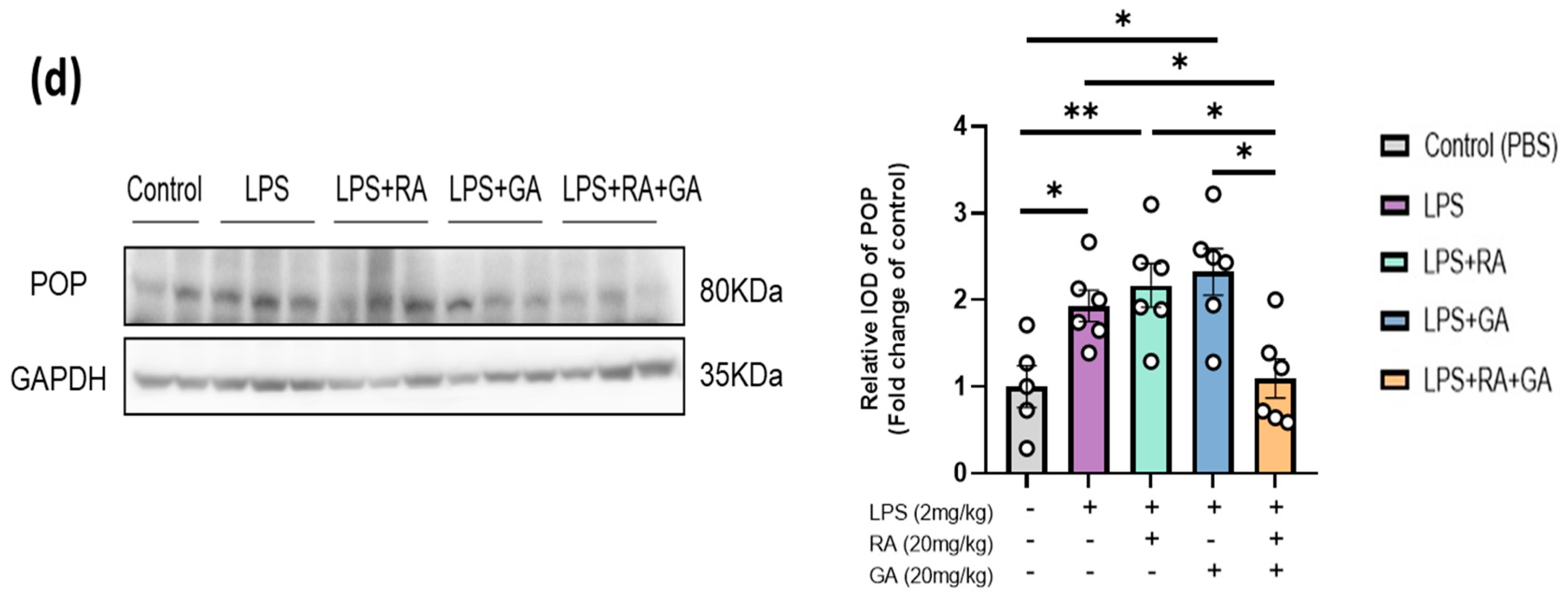 Ijms 24 14235 g005b Ijms 24 14235 g005b