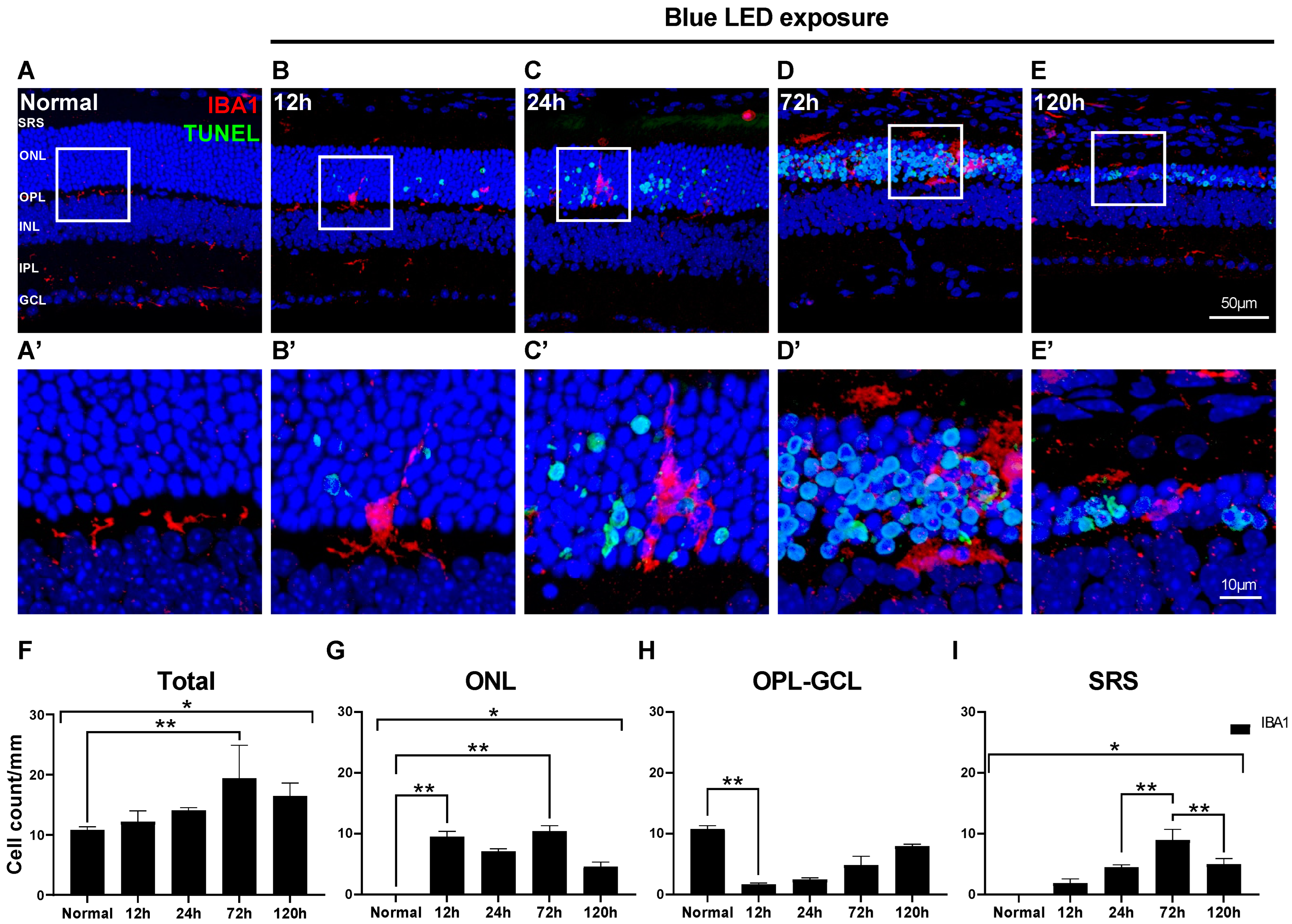 Ijms 24 14236 g001 Ijms 24 14236 g001