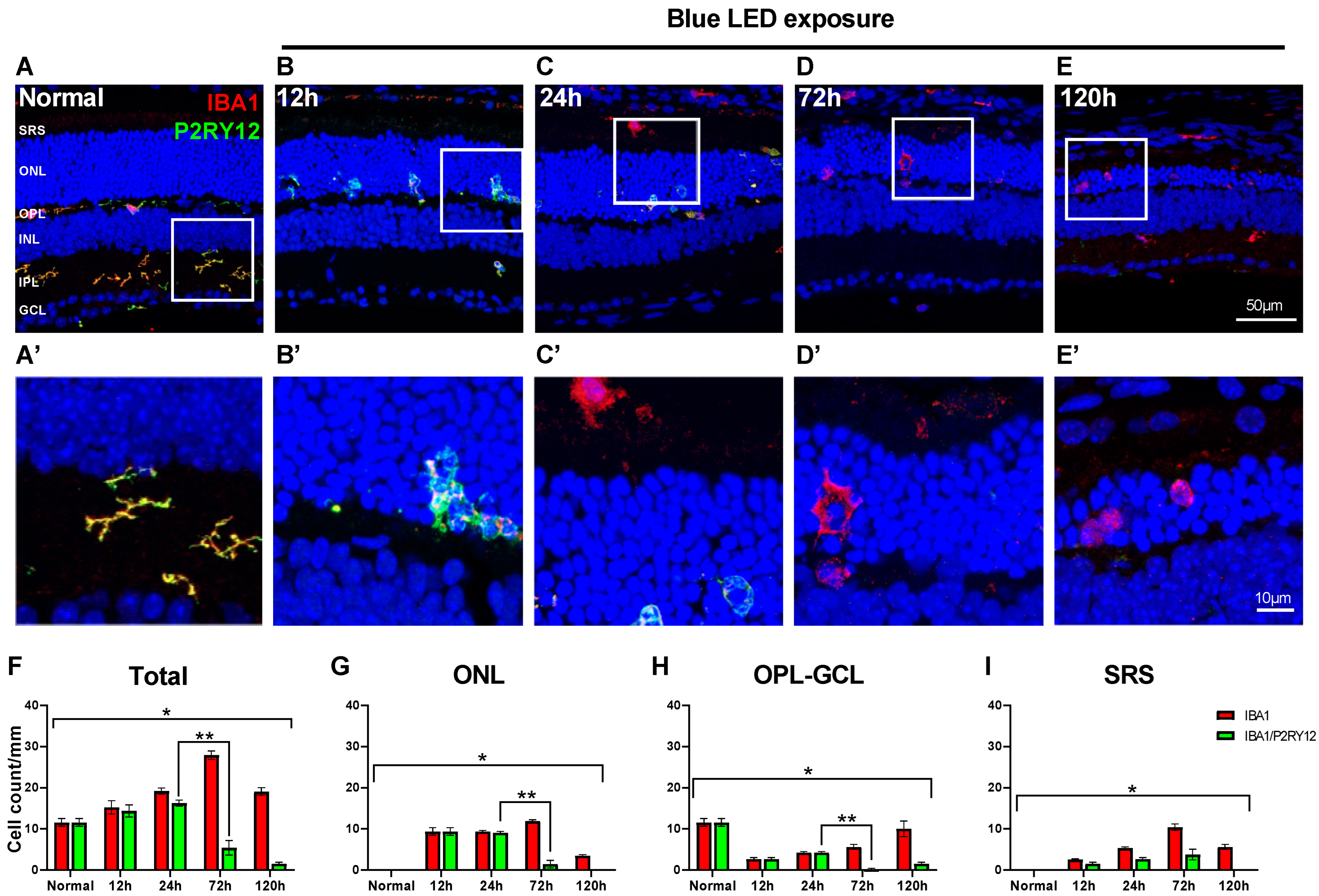Ijms 24 14236 g002 Ijms 24 14236 g002
