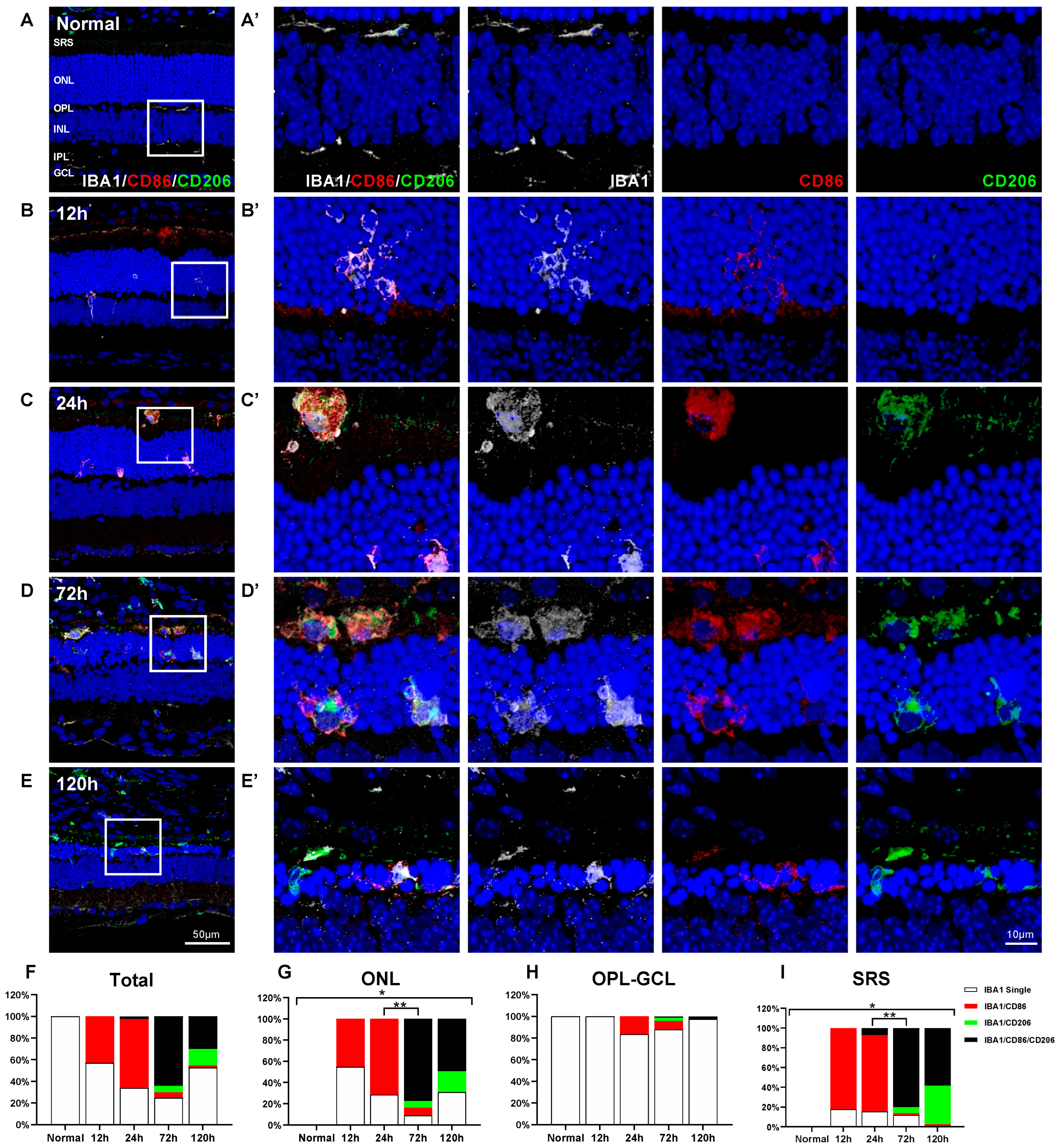 Ijms 24 14236 g003 Ijms 24 14236 g003