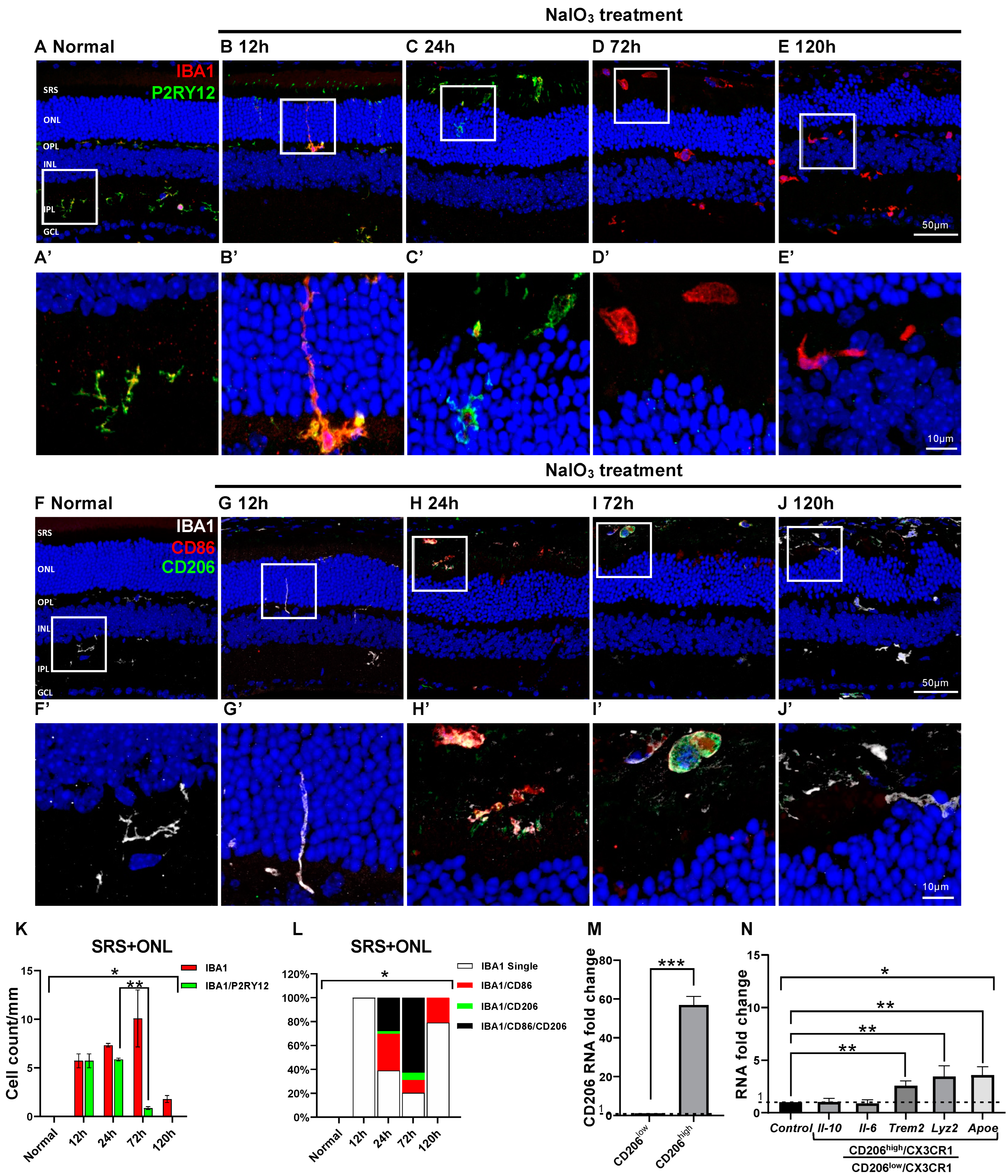 Ijms 24 14236 g005 Ijms 24 14236 g005