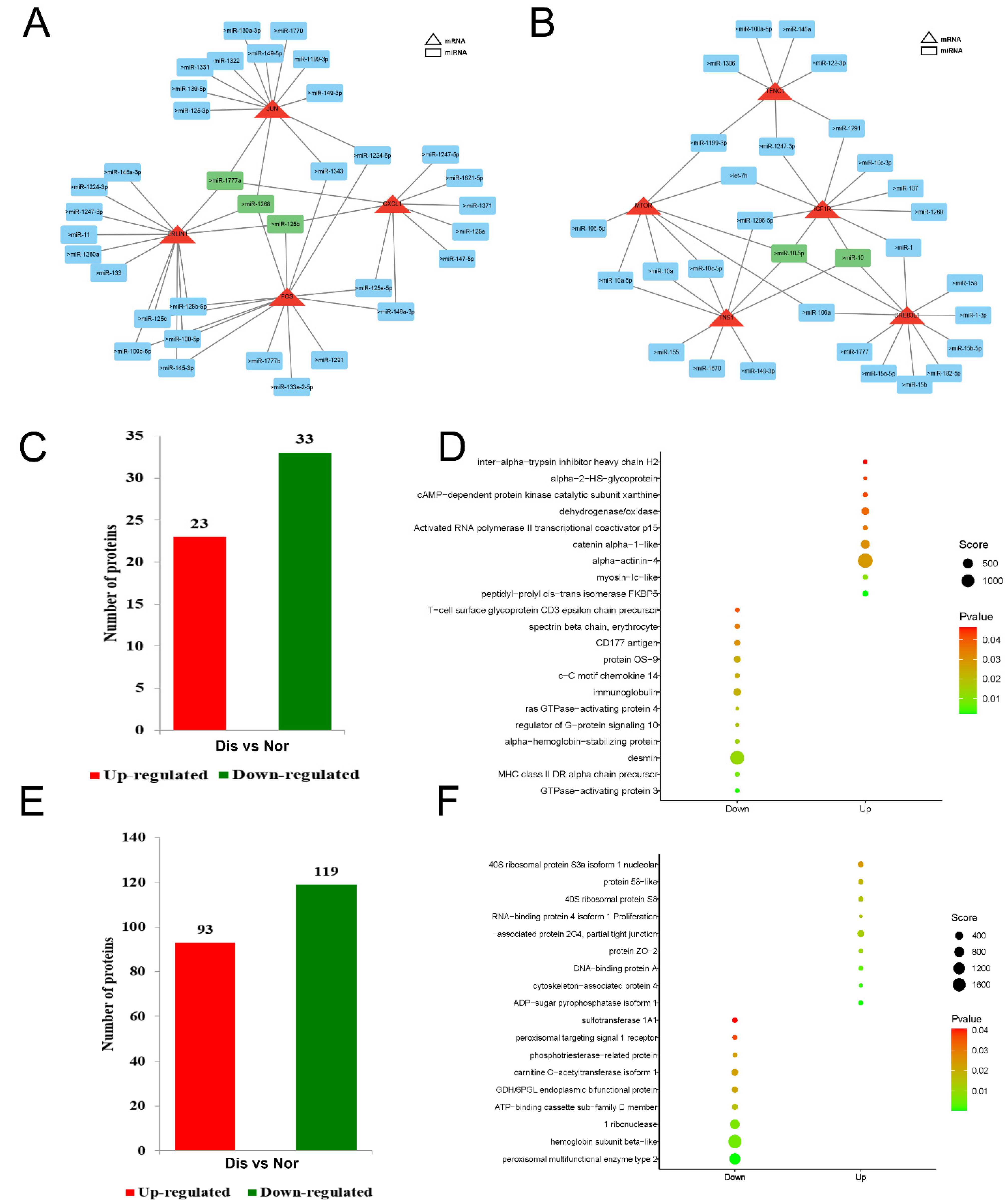 Ijms 24 14237 g005 Ijms 24 14237 g005