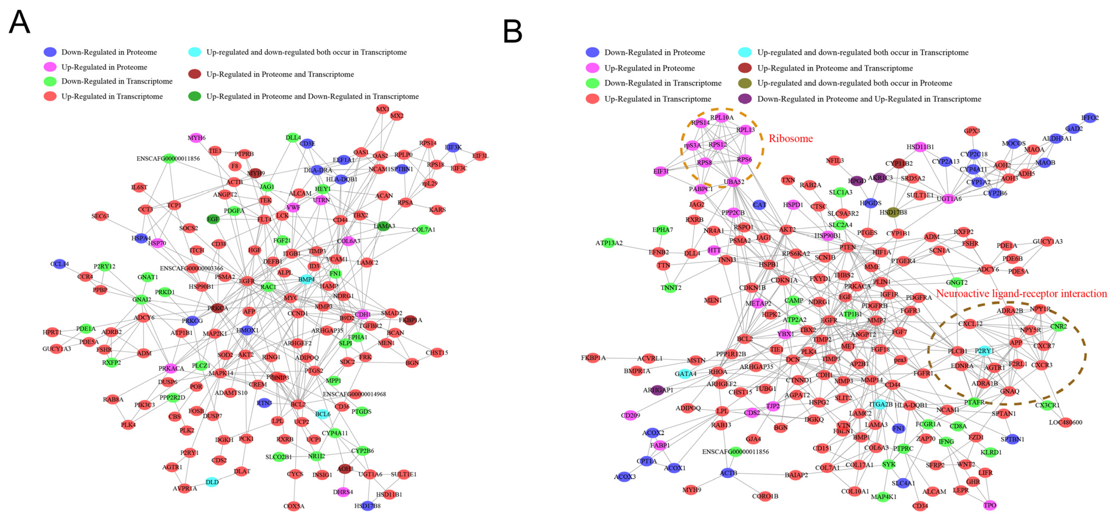 Ijms 24 14237 g007 Ijms 24 14237 g007