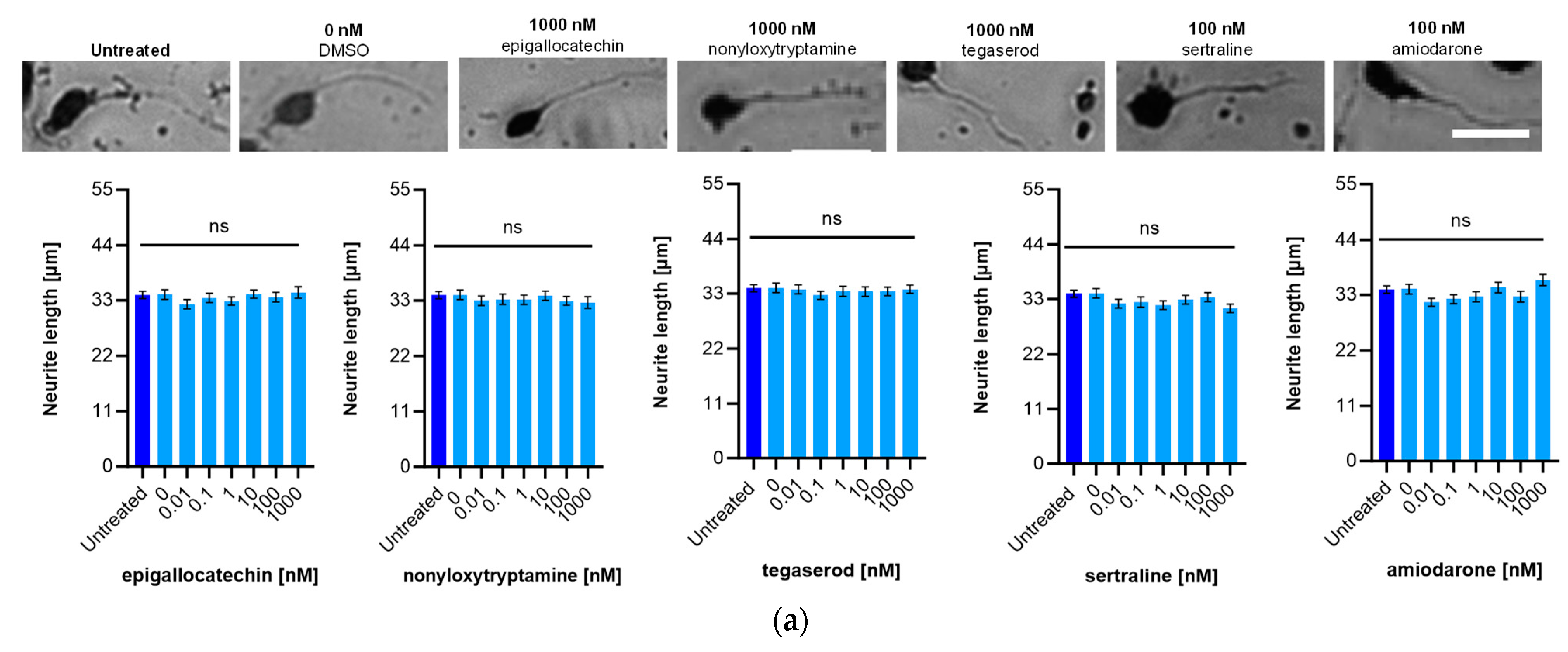 Ijms 24 14271 g004a Ijms 24 14271 g004a