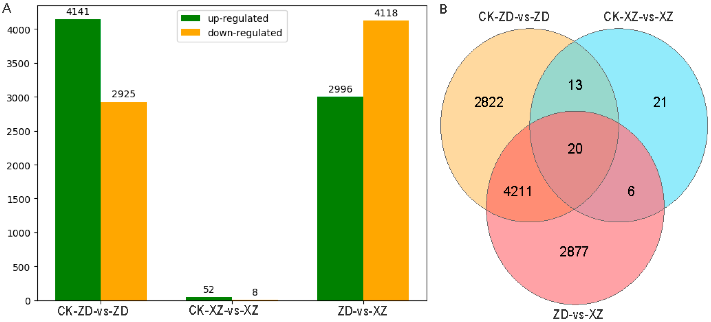 Ijms 24 14310 g003 Ijms 24 14310 g003