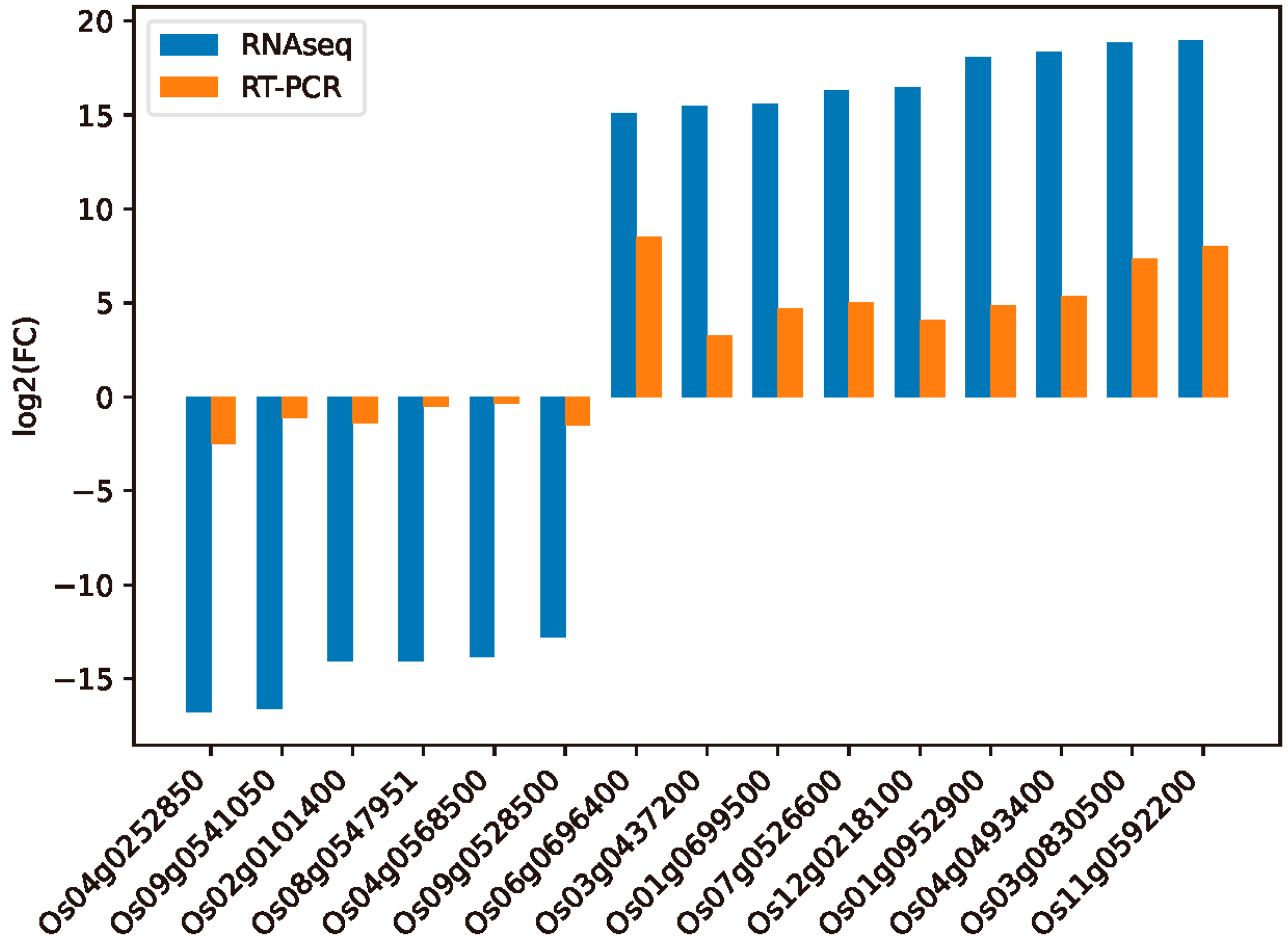 Ijms 24 14310 g007 Ijms 24 14310 g007