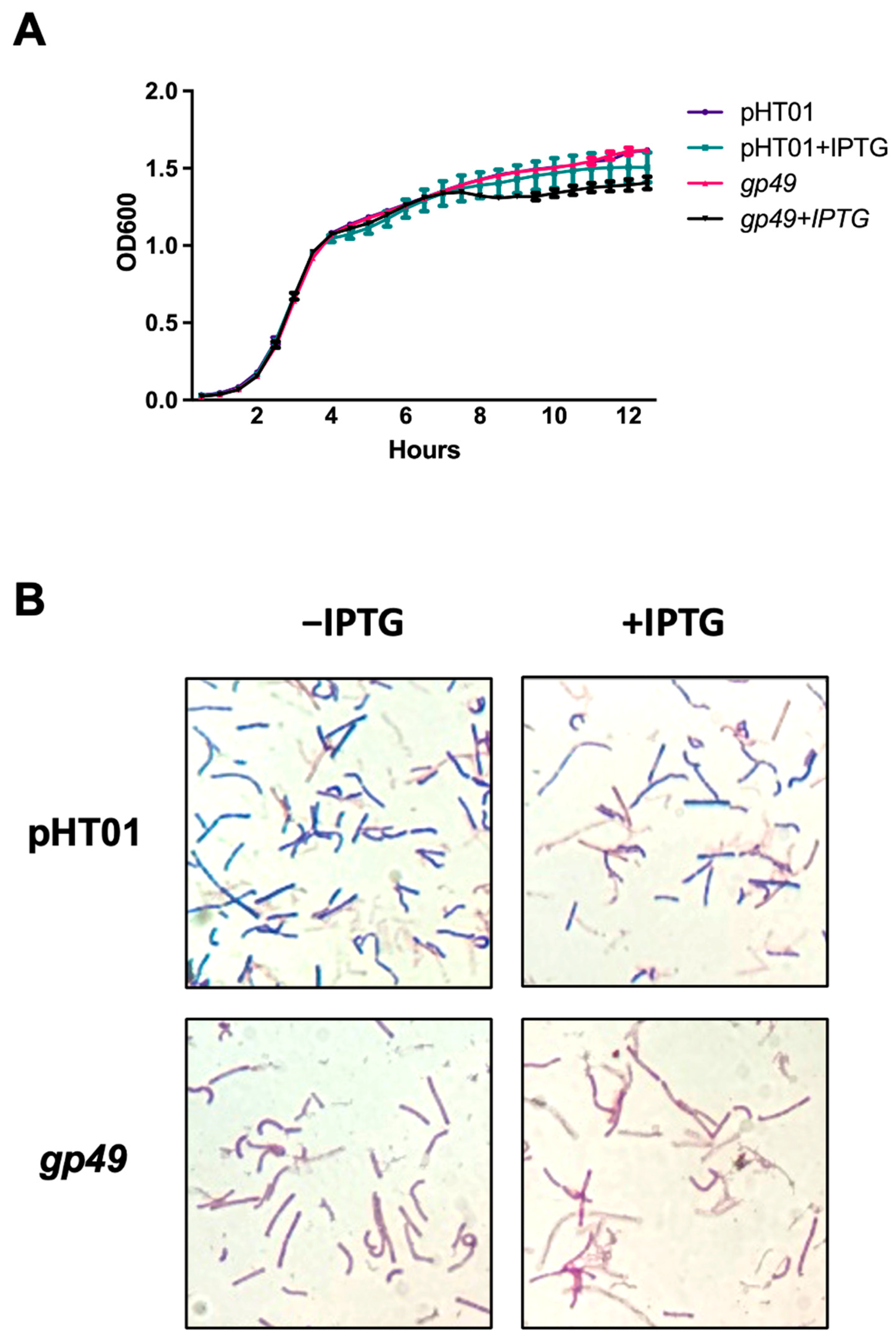 Ijms 24 14318 g002 Ijms 24 14318 g002