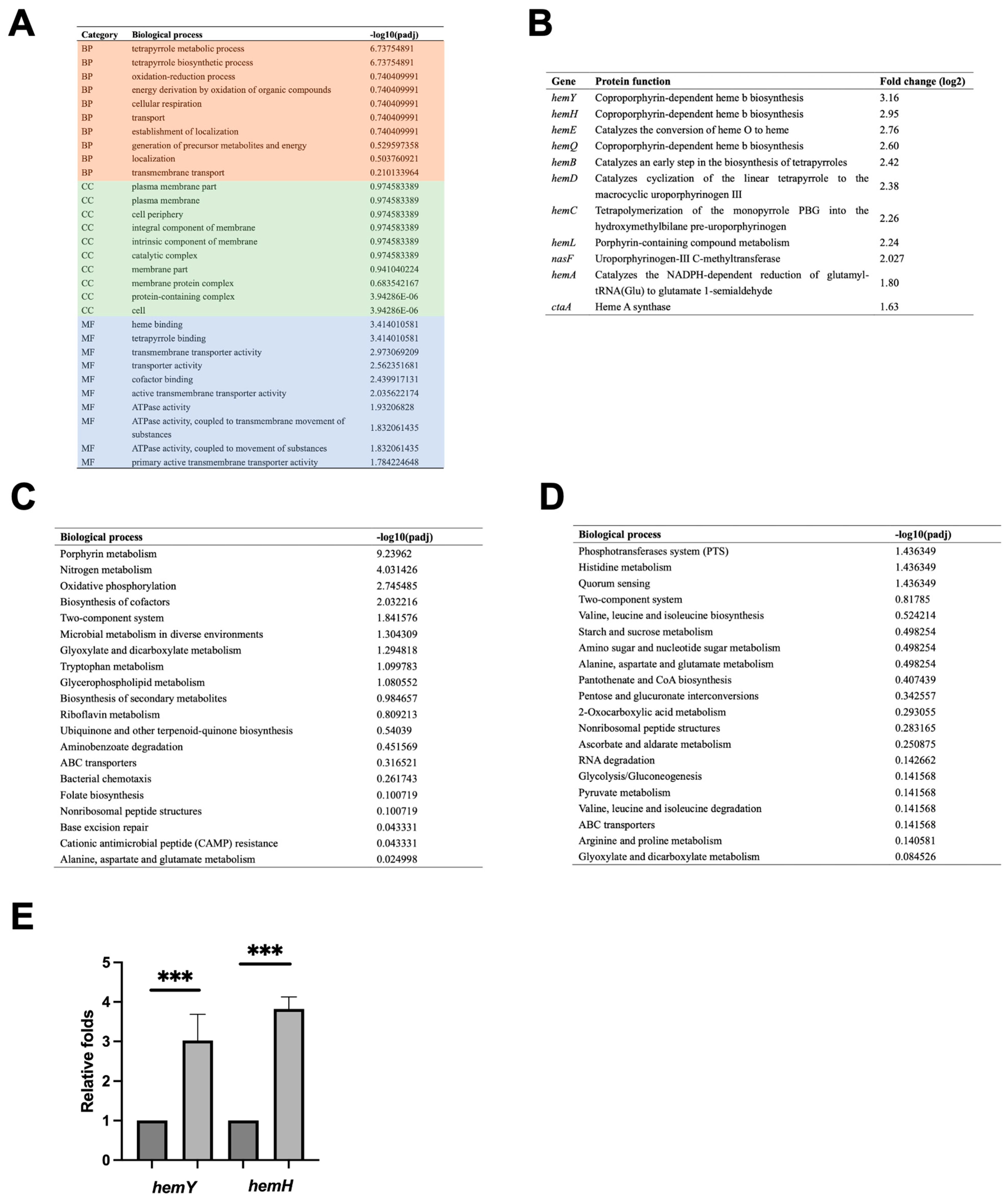 Ijms 24 14318 g005 Ijms 24 14318 g005