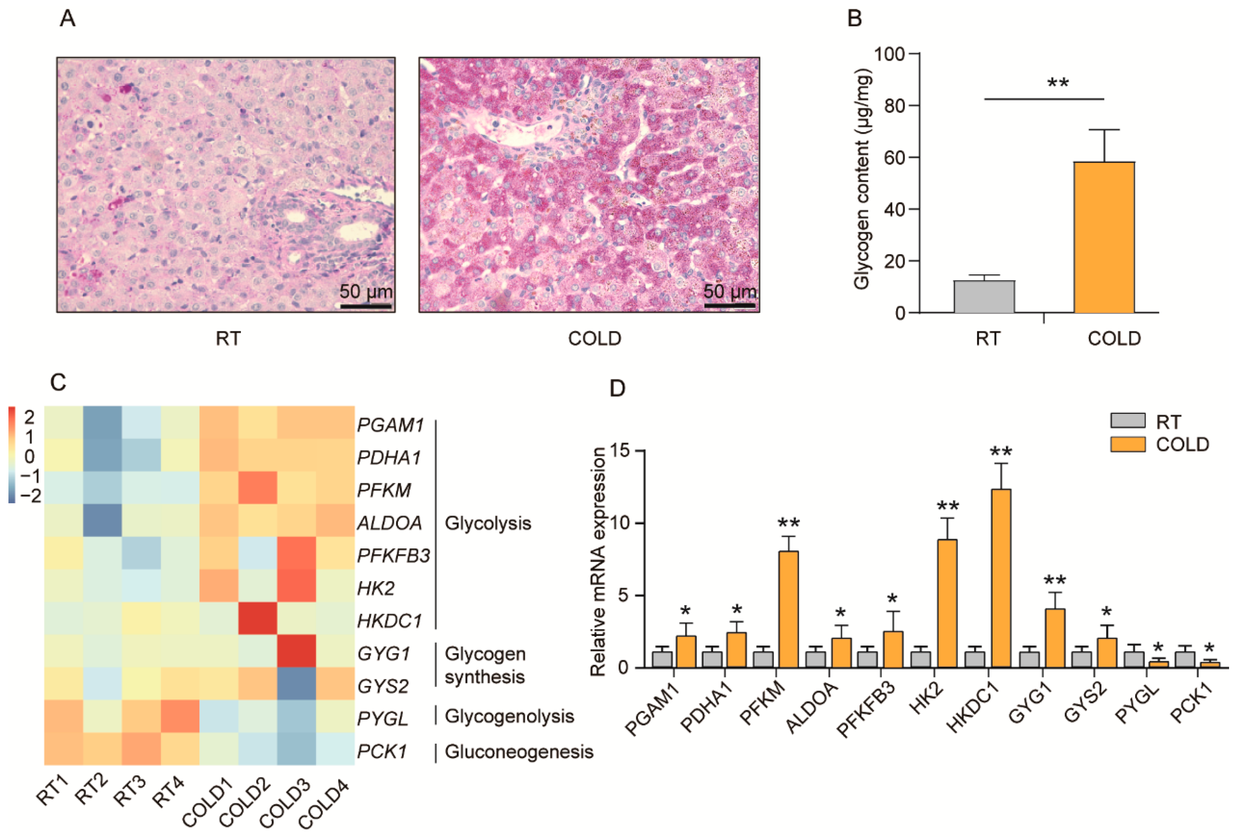 Ijms 24 14330 g003 Ijms 24 14330 g003