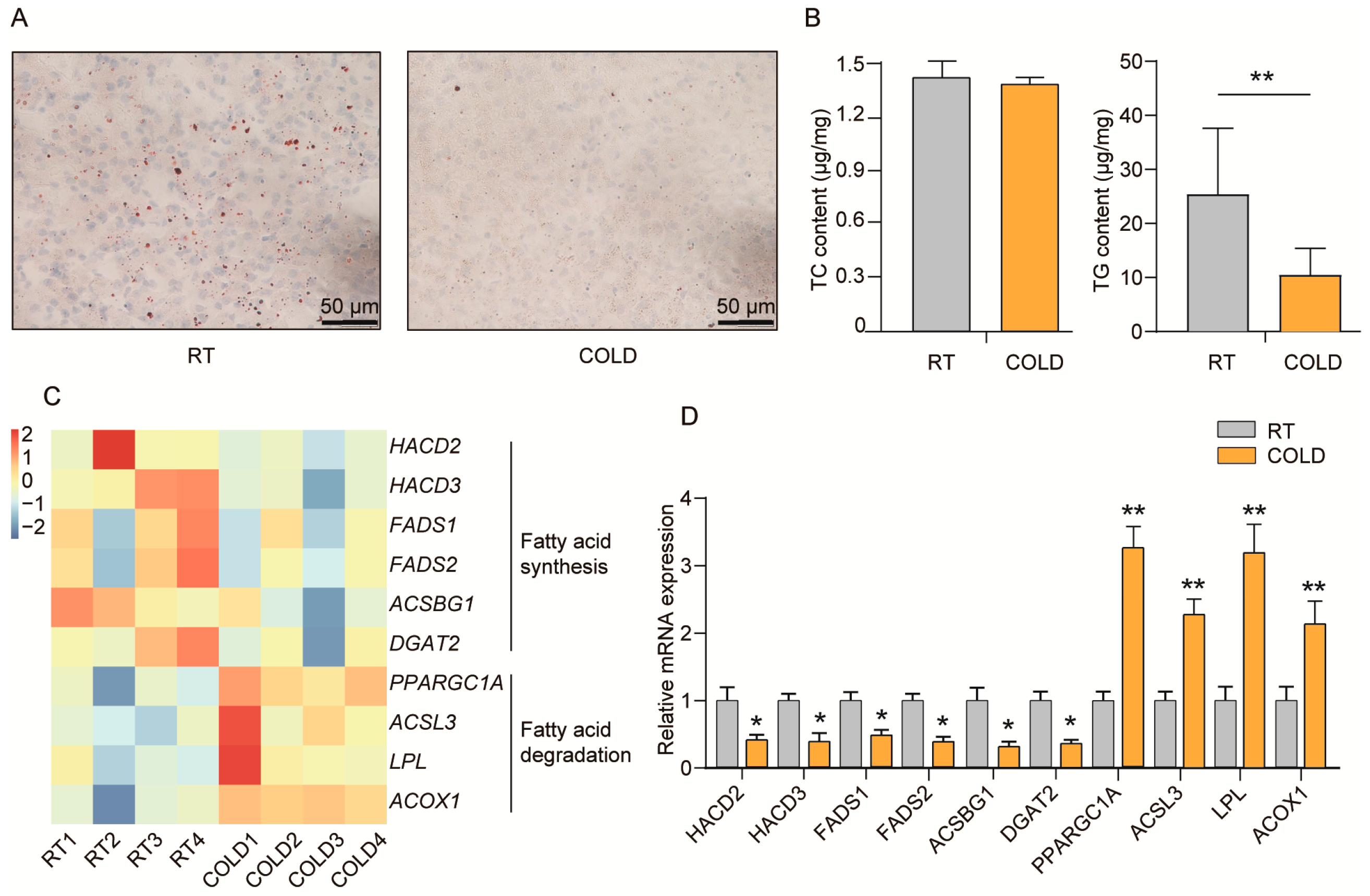 Ijms 24 14330 g004 Ijms 24 14330 g004
