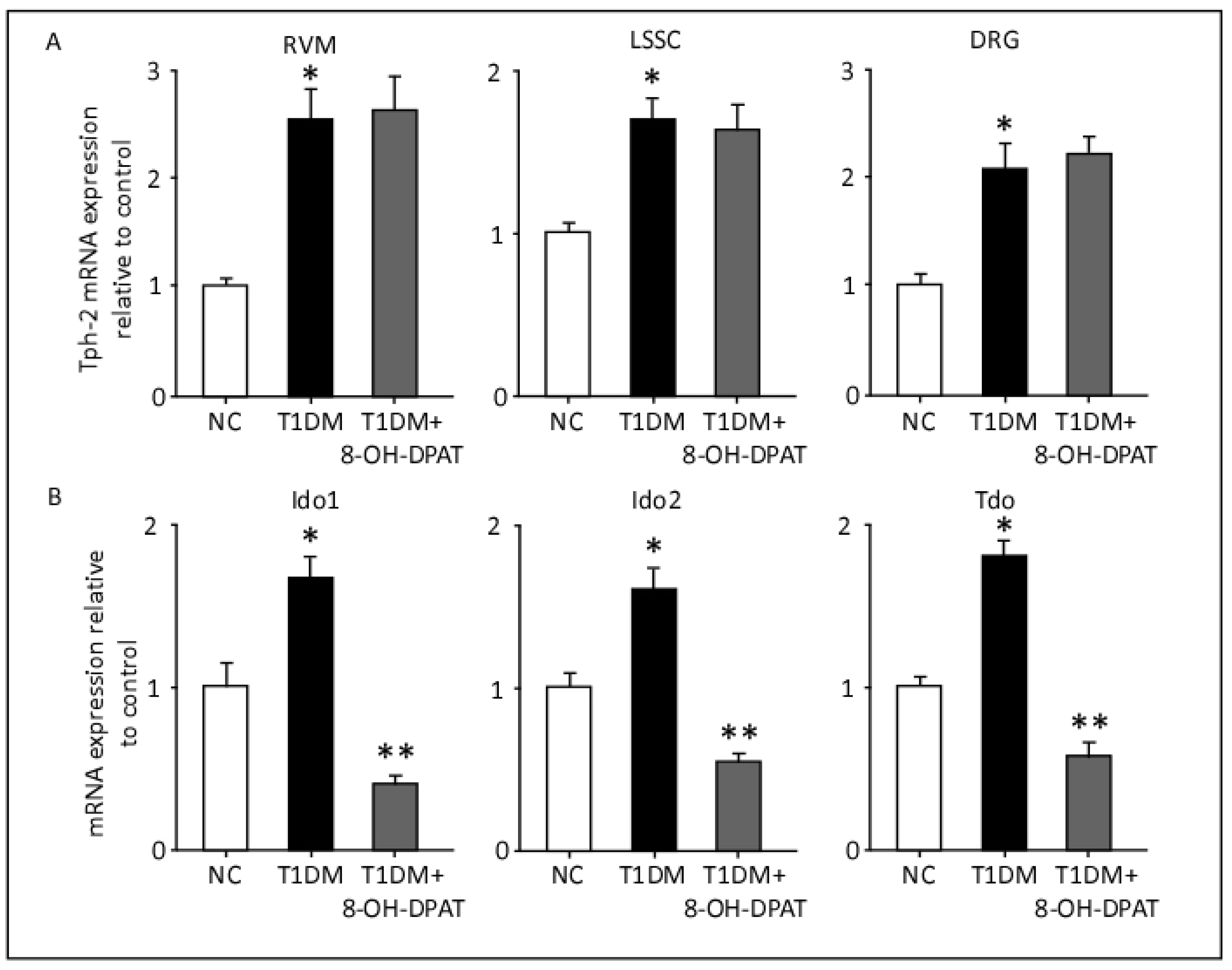 Ijms 24 14334 g007 Ijms 24 14334 g007